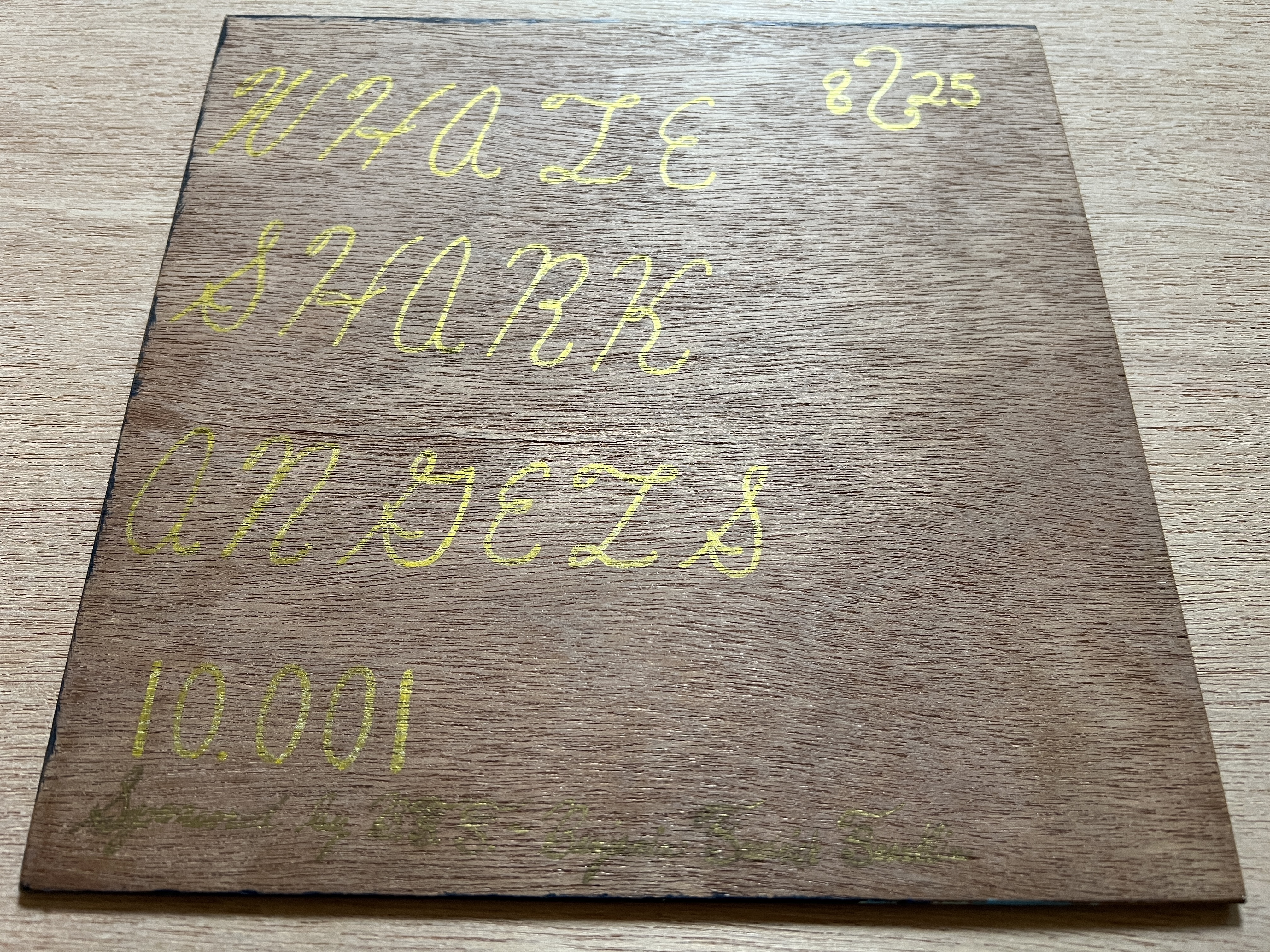 BF Series - WHALE SHARK ANGELS - 10.001