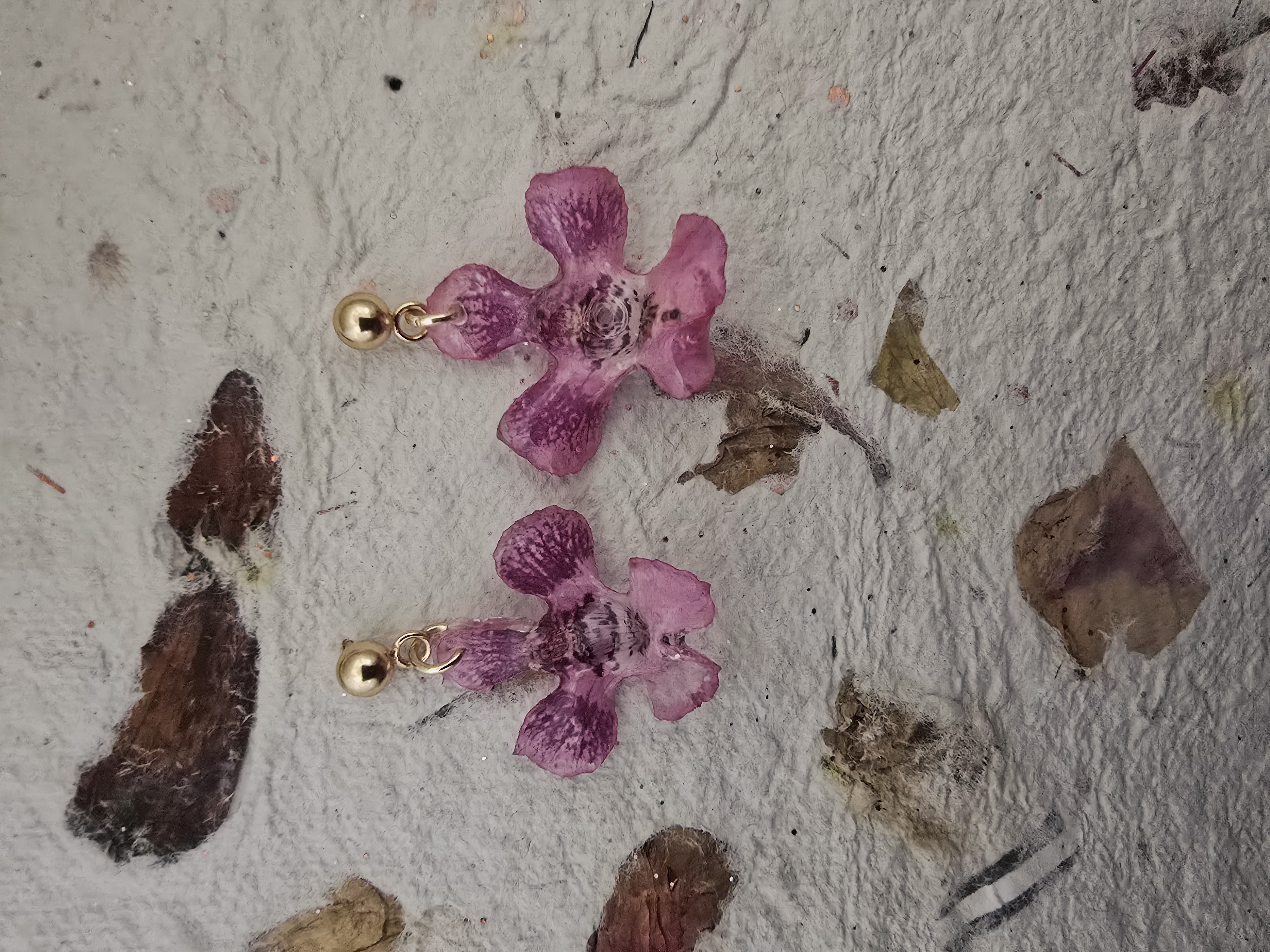 Pink Angel Orchids 