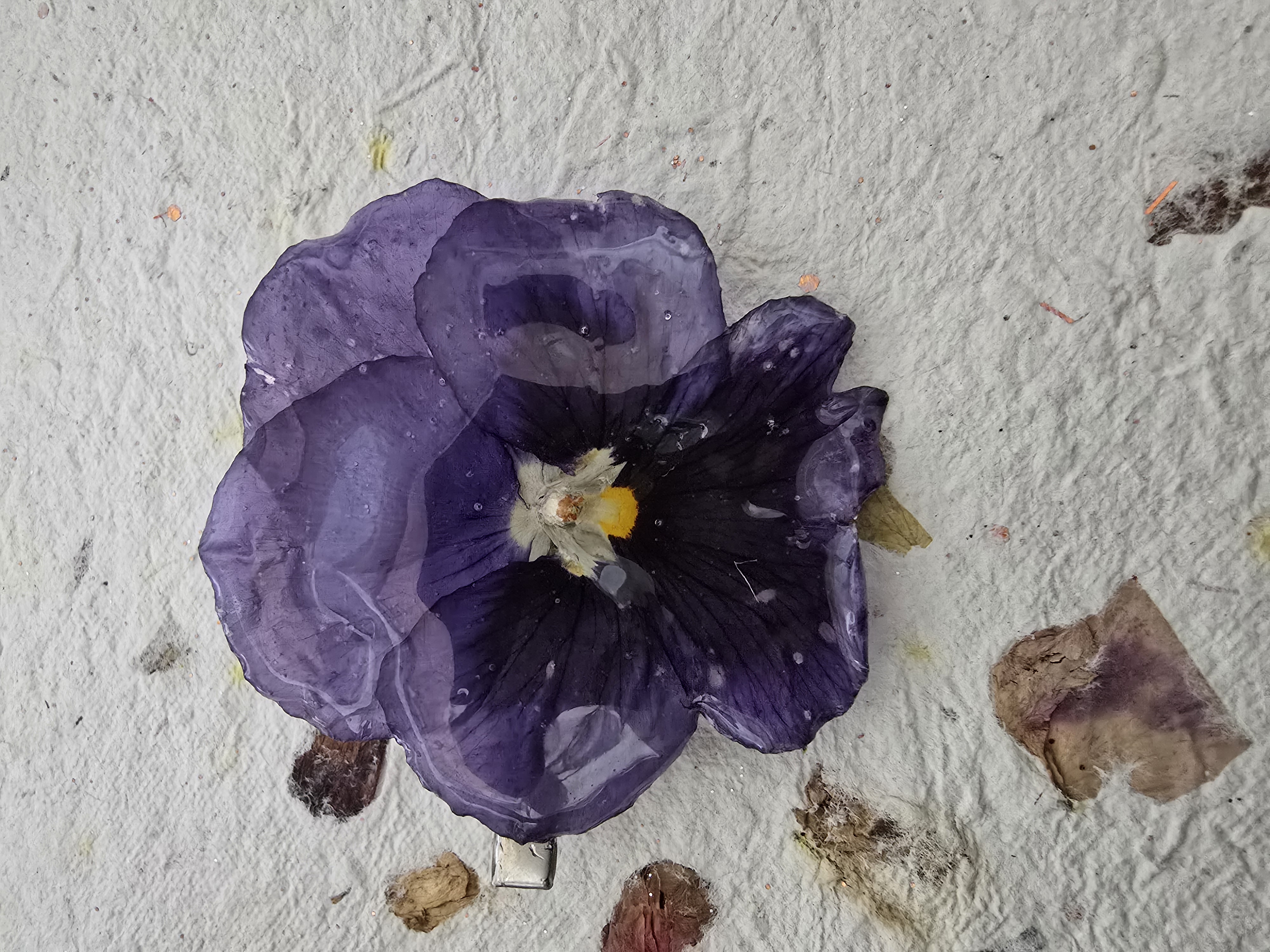 Purple Pansy Hair Clip