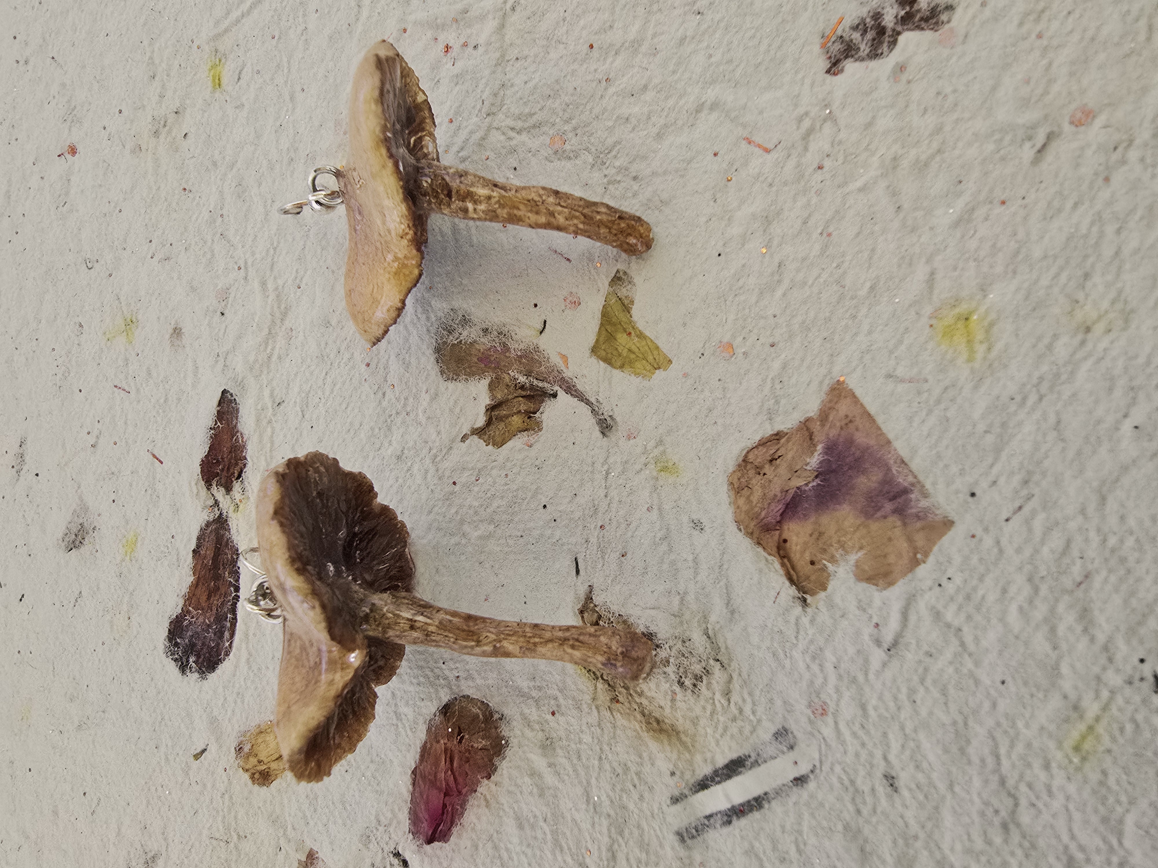 Yard-Grown Mushroom Earrings