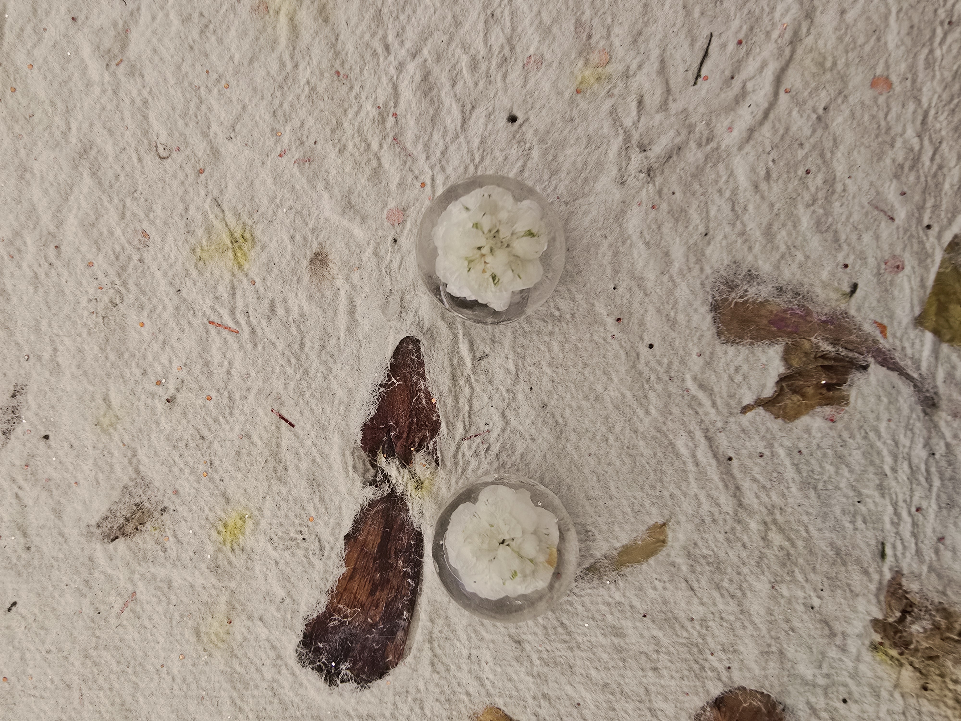 Encased Mini White Rose Studs