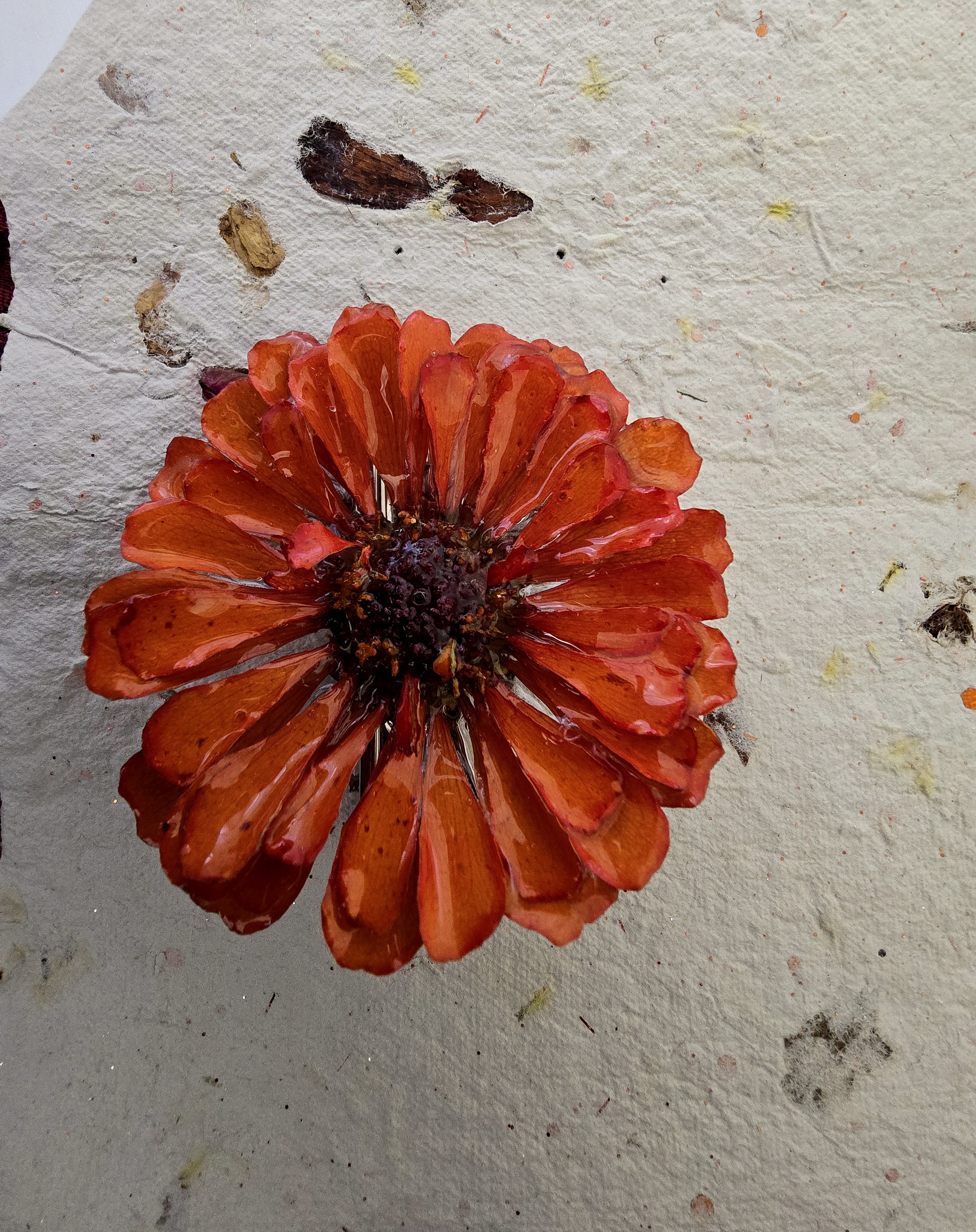 Zinnia Flower Hair Clip
