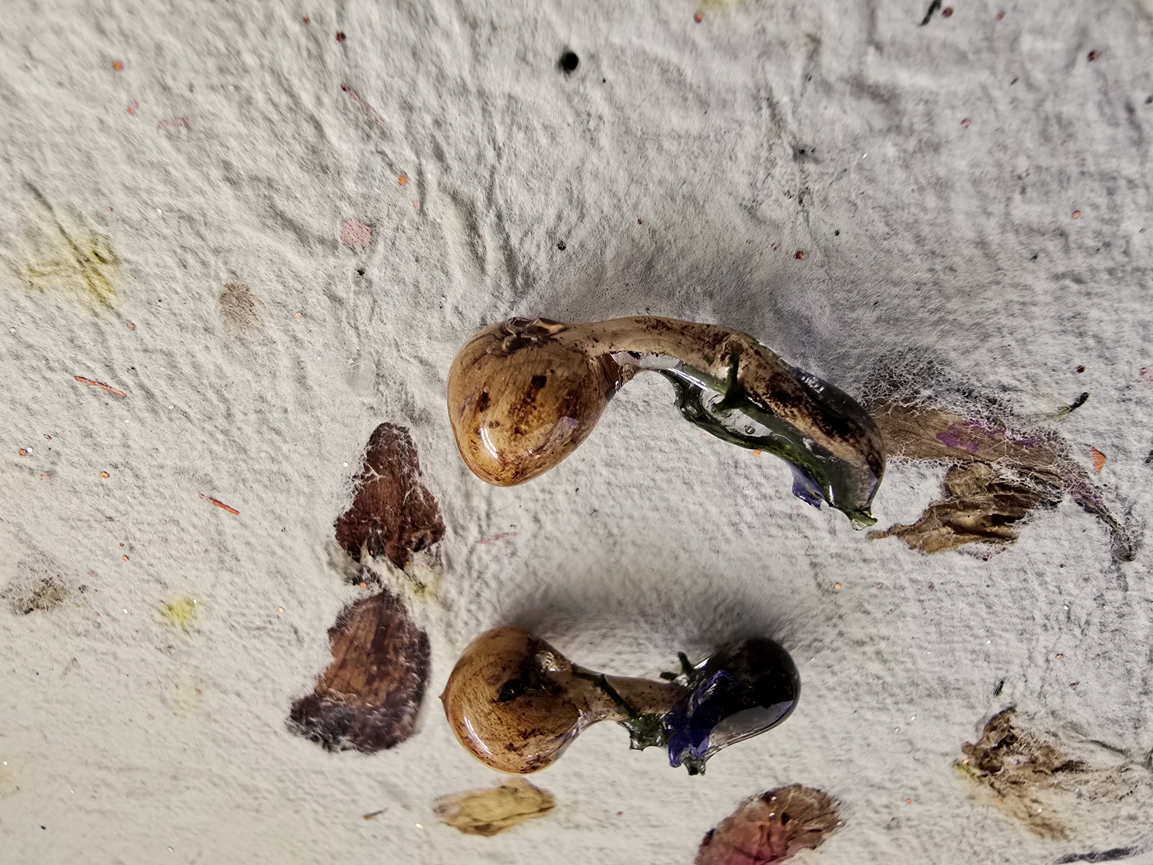 Mushroom Stud Earrings