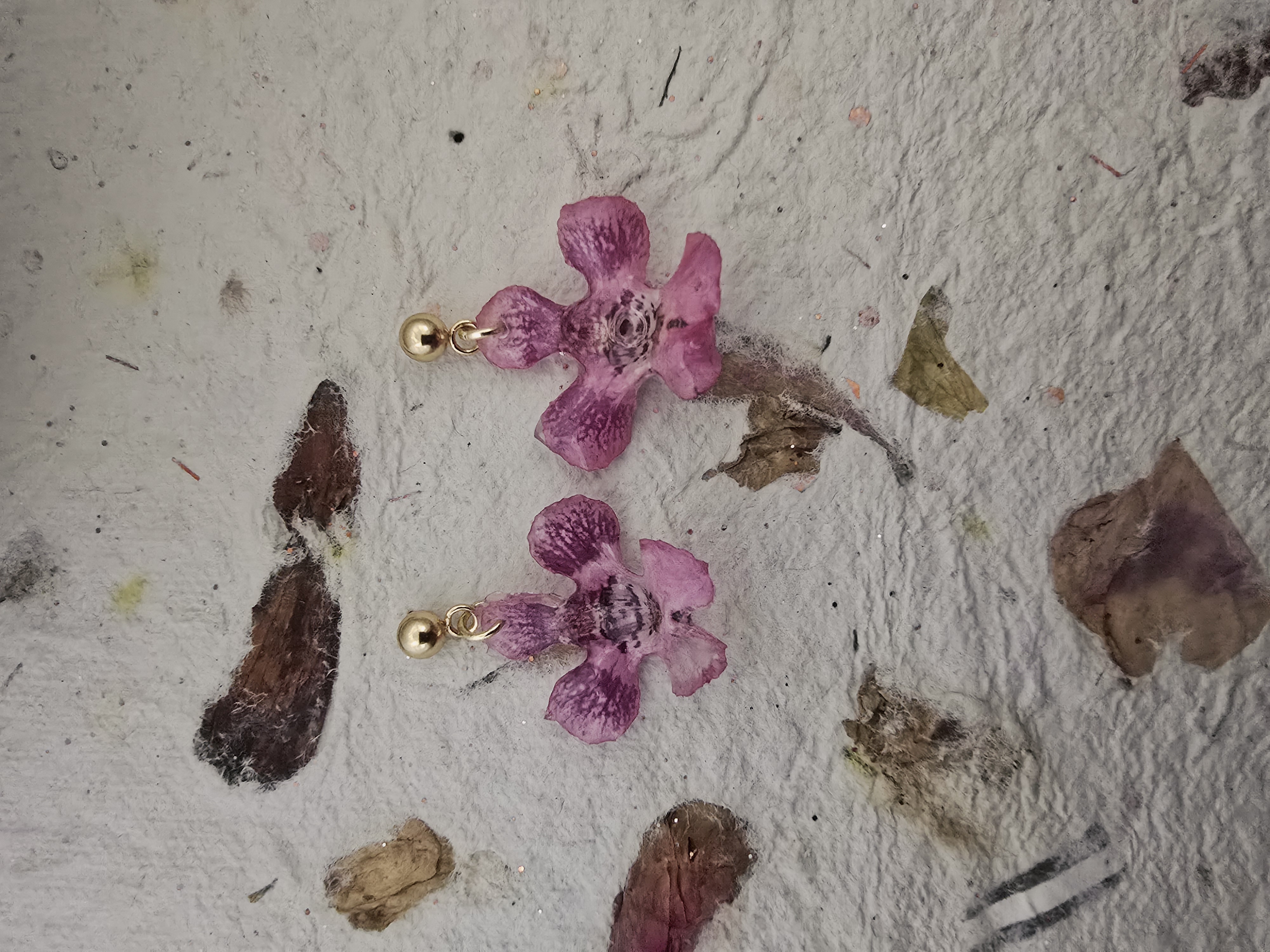 Pink Angel Orchids 