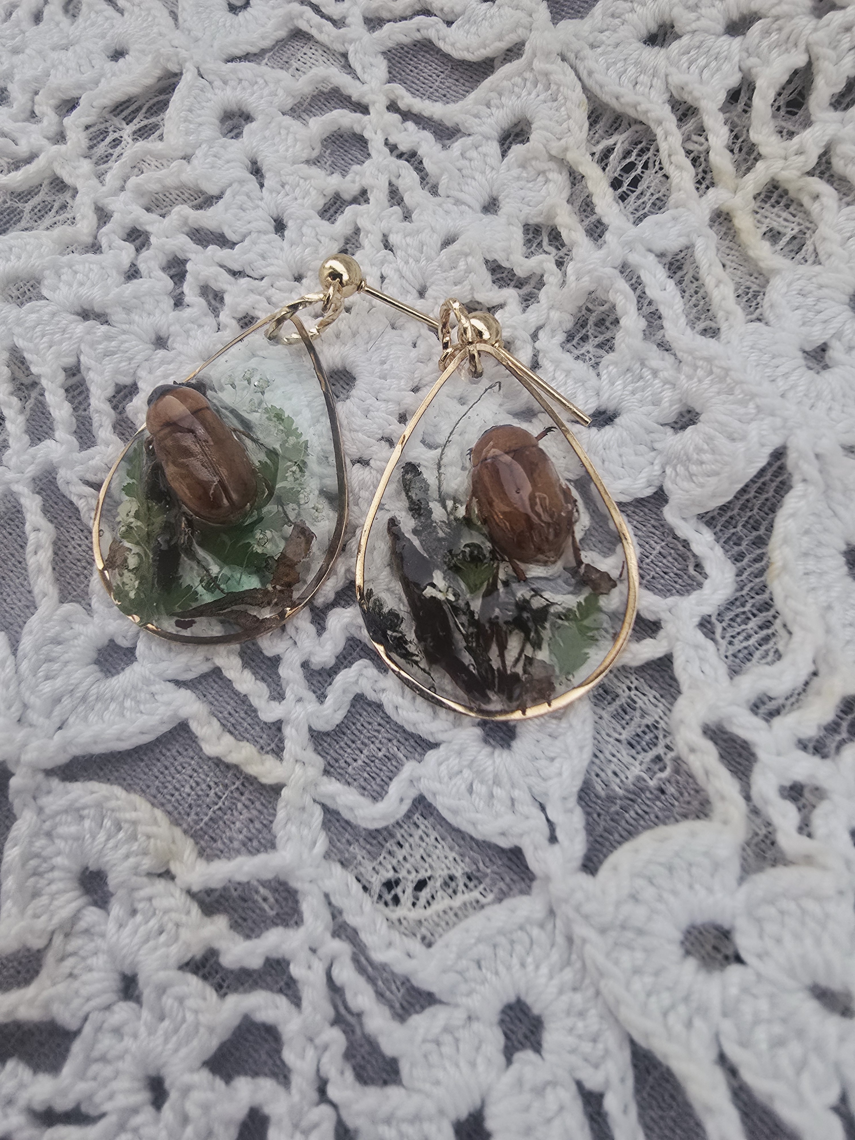 Real Beetles Encased