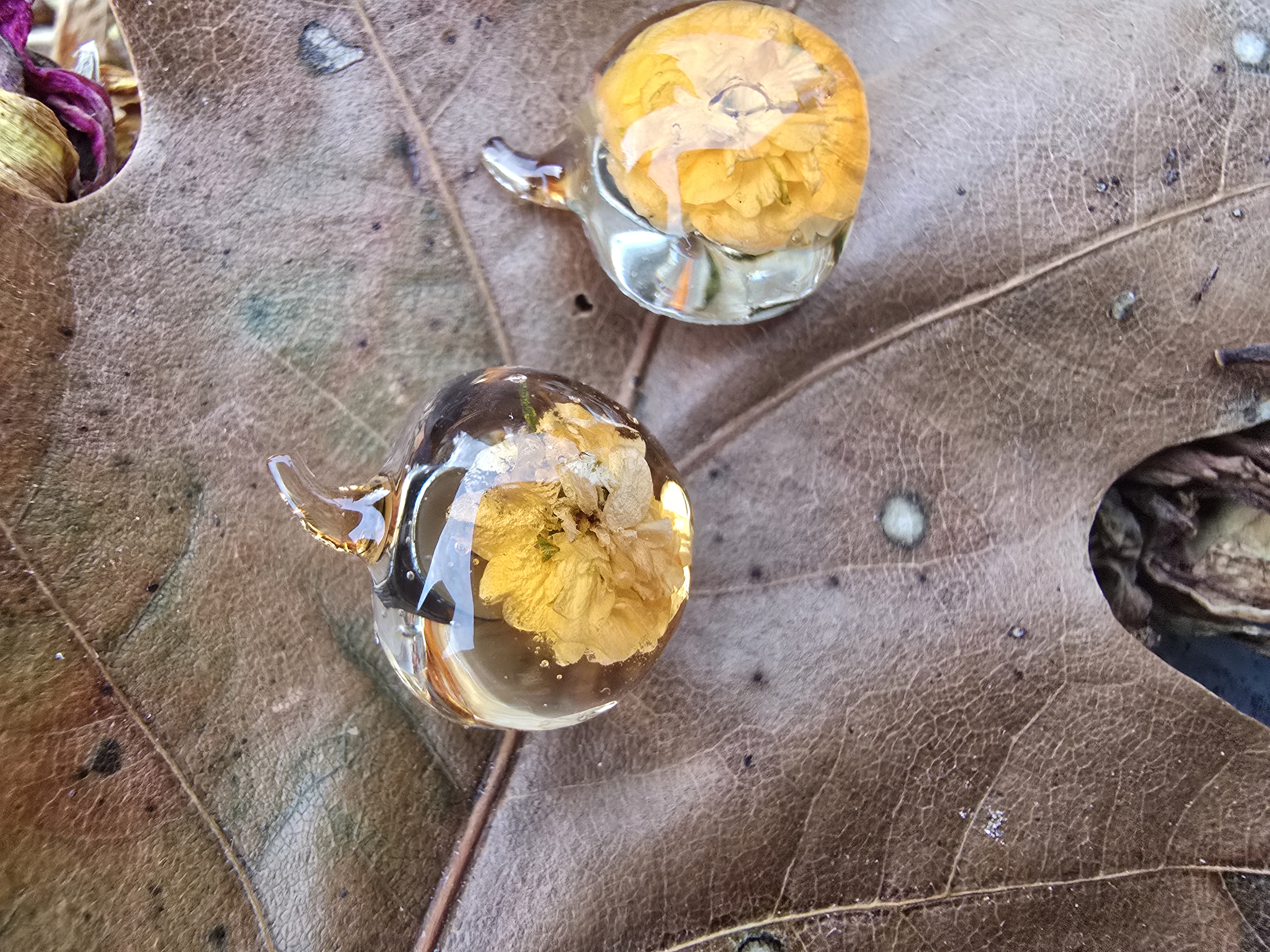 Cute Pumpkin Studs with Real Mini Rose