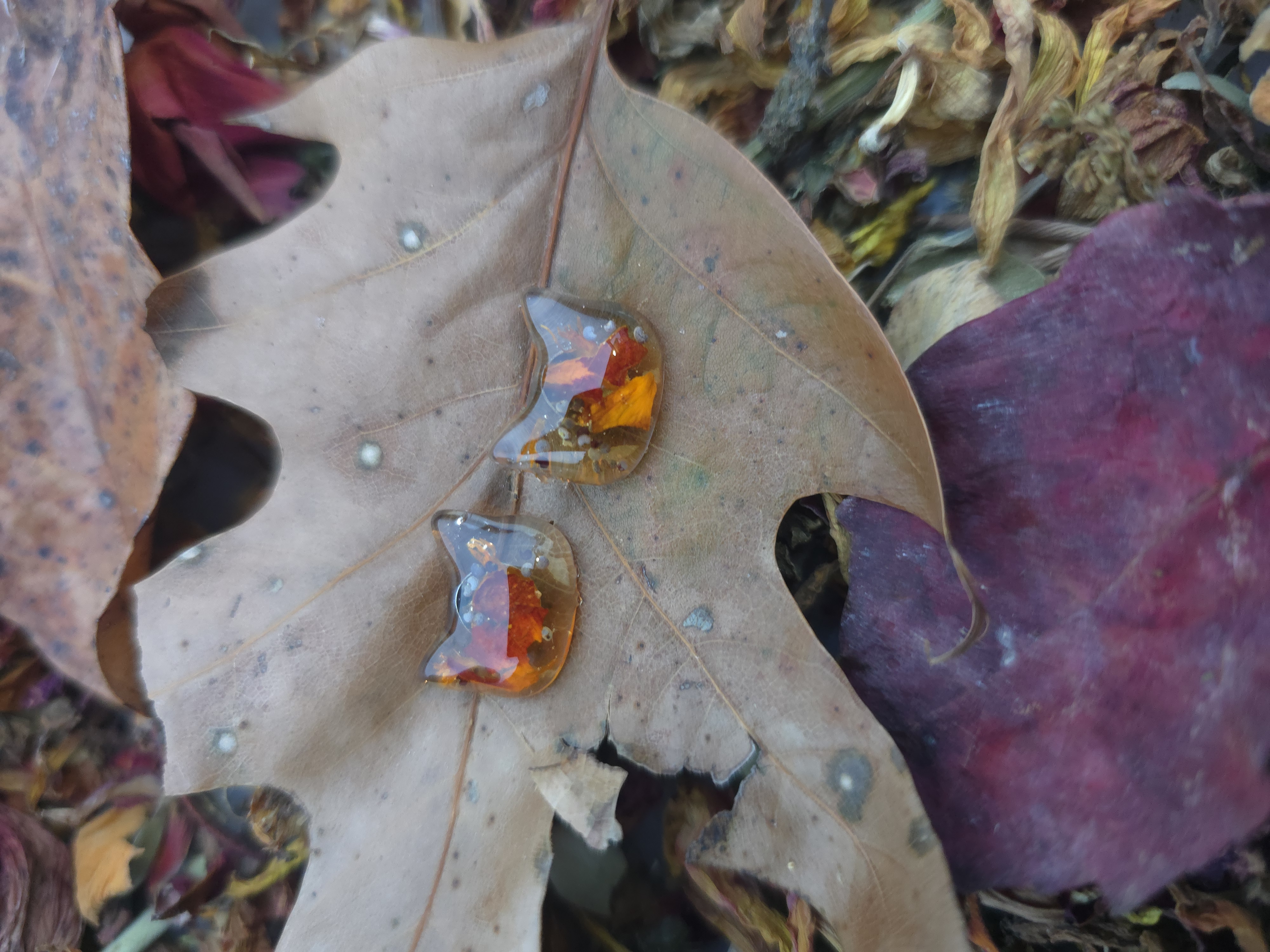 Cute Marigold Cat Fall Studs