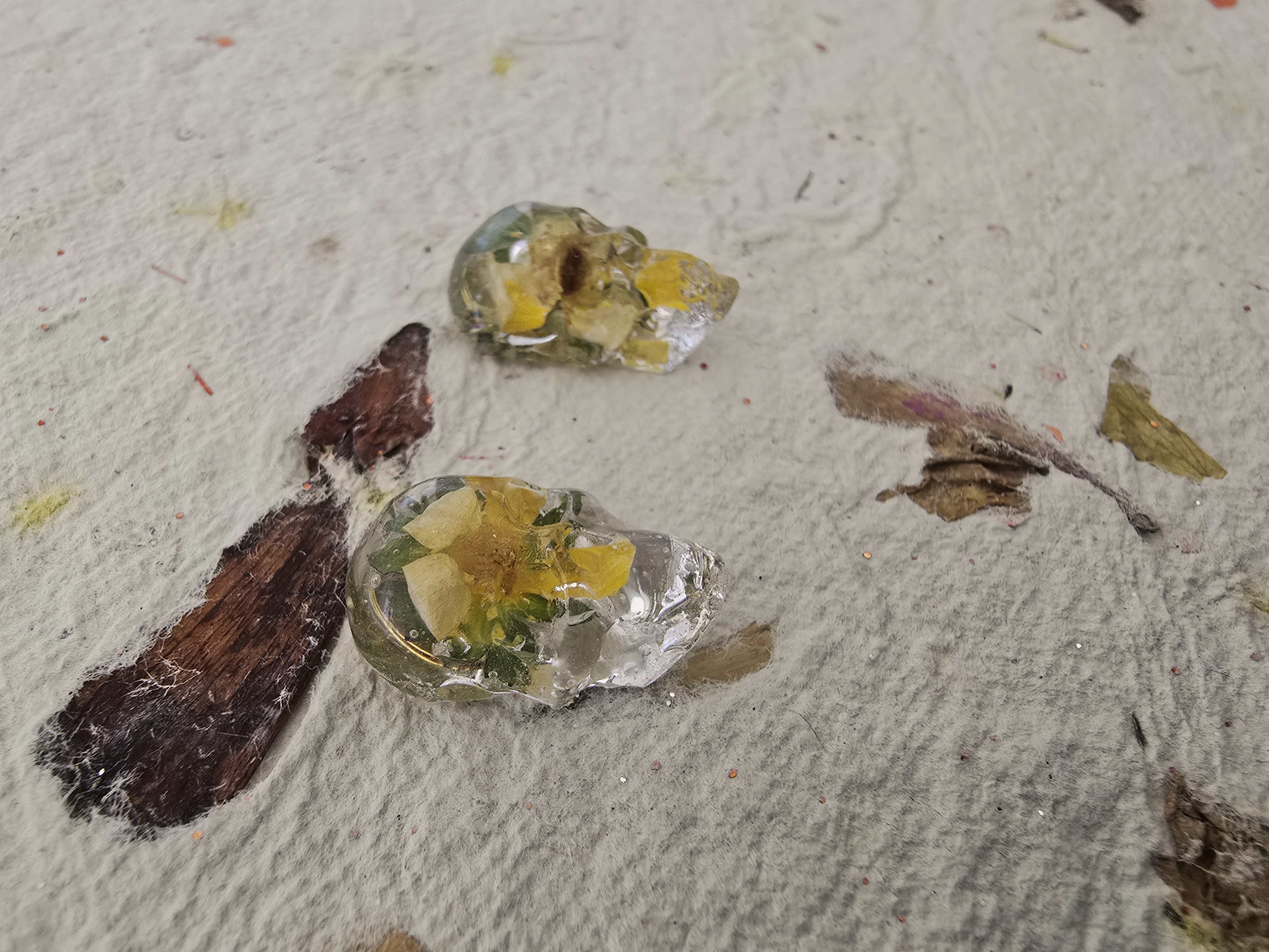 Encased Flower in Skull