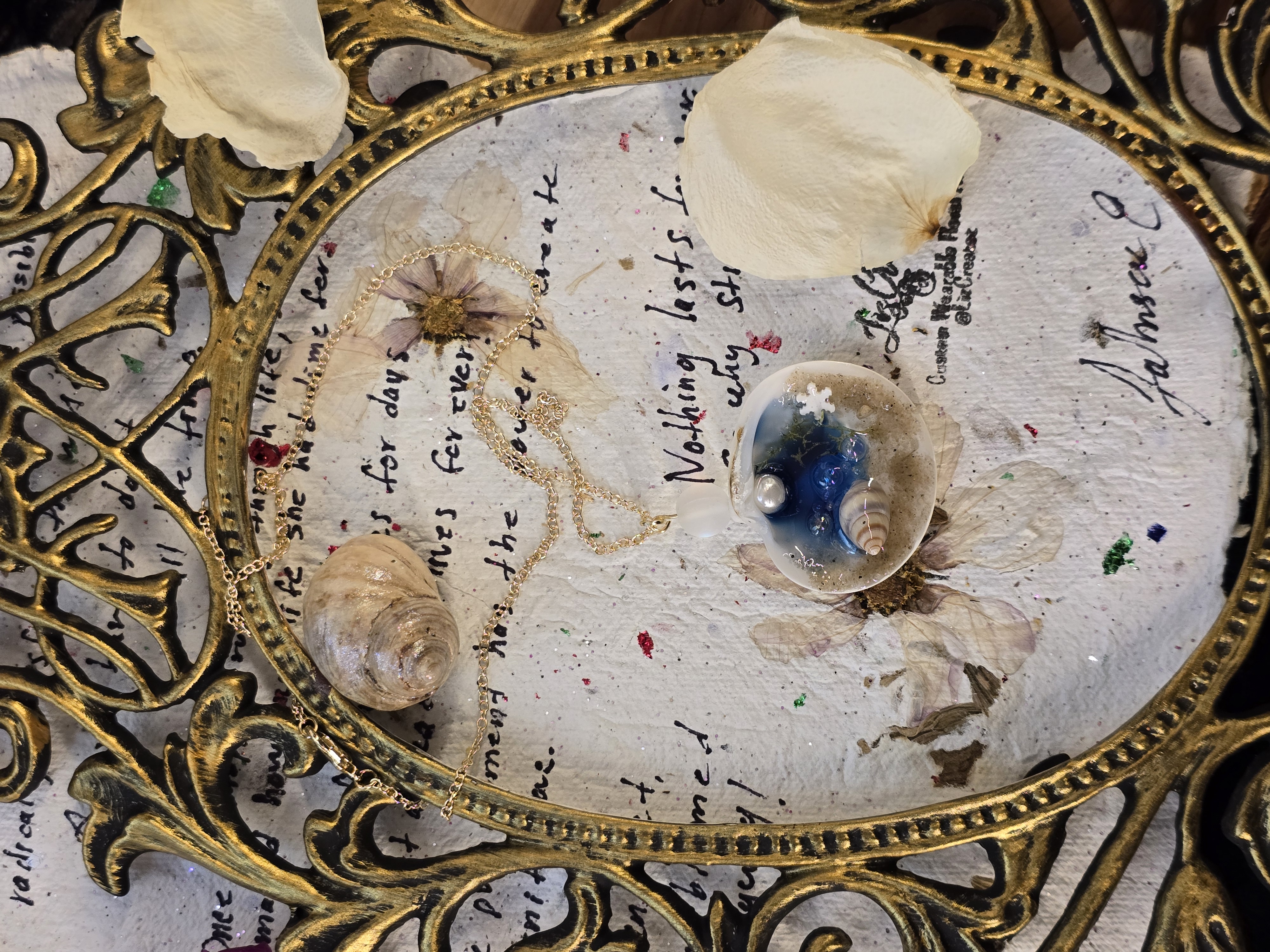 Real White Seashell Necklace