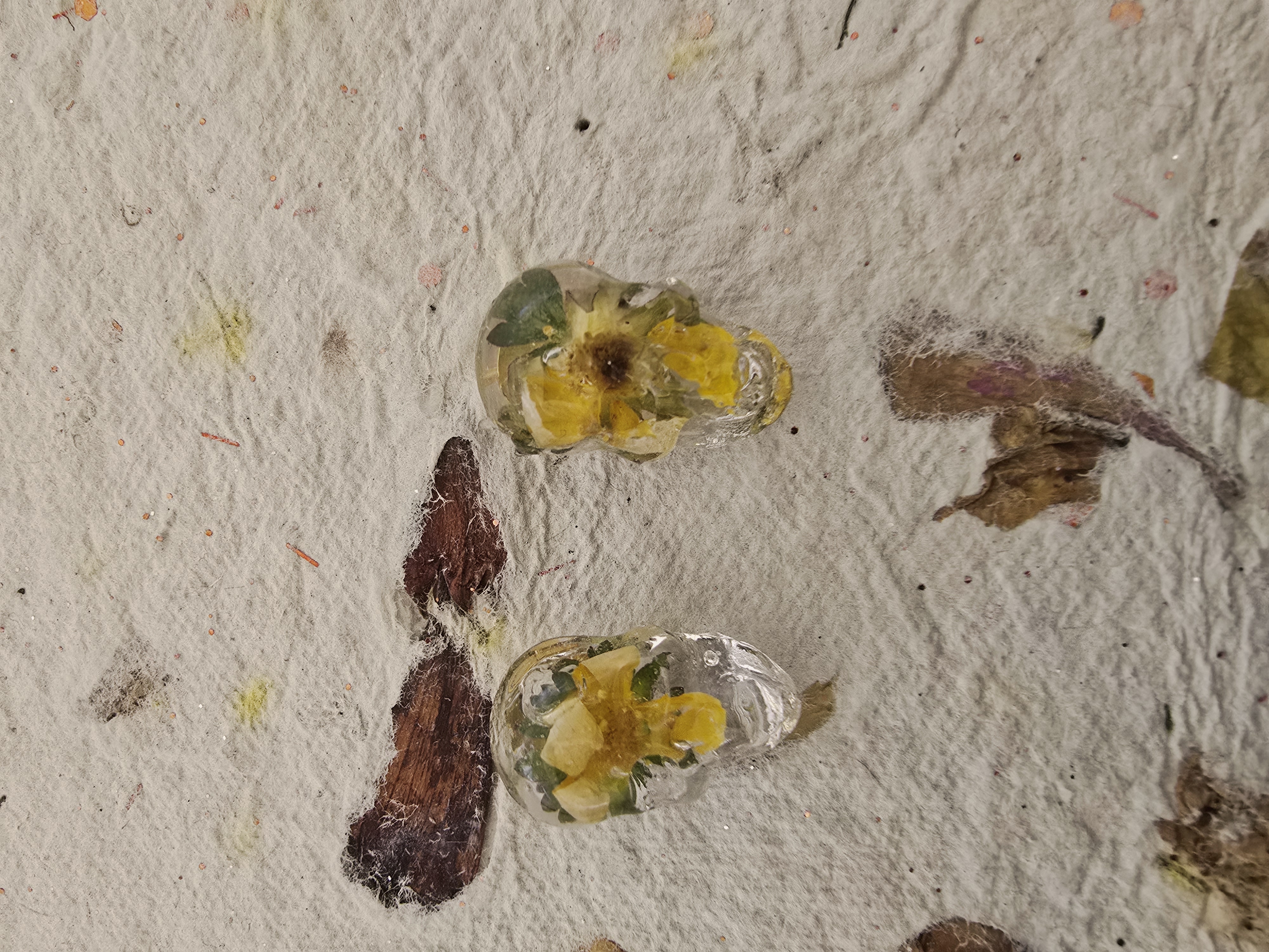 Encased Flower in Skull