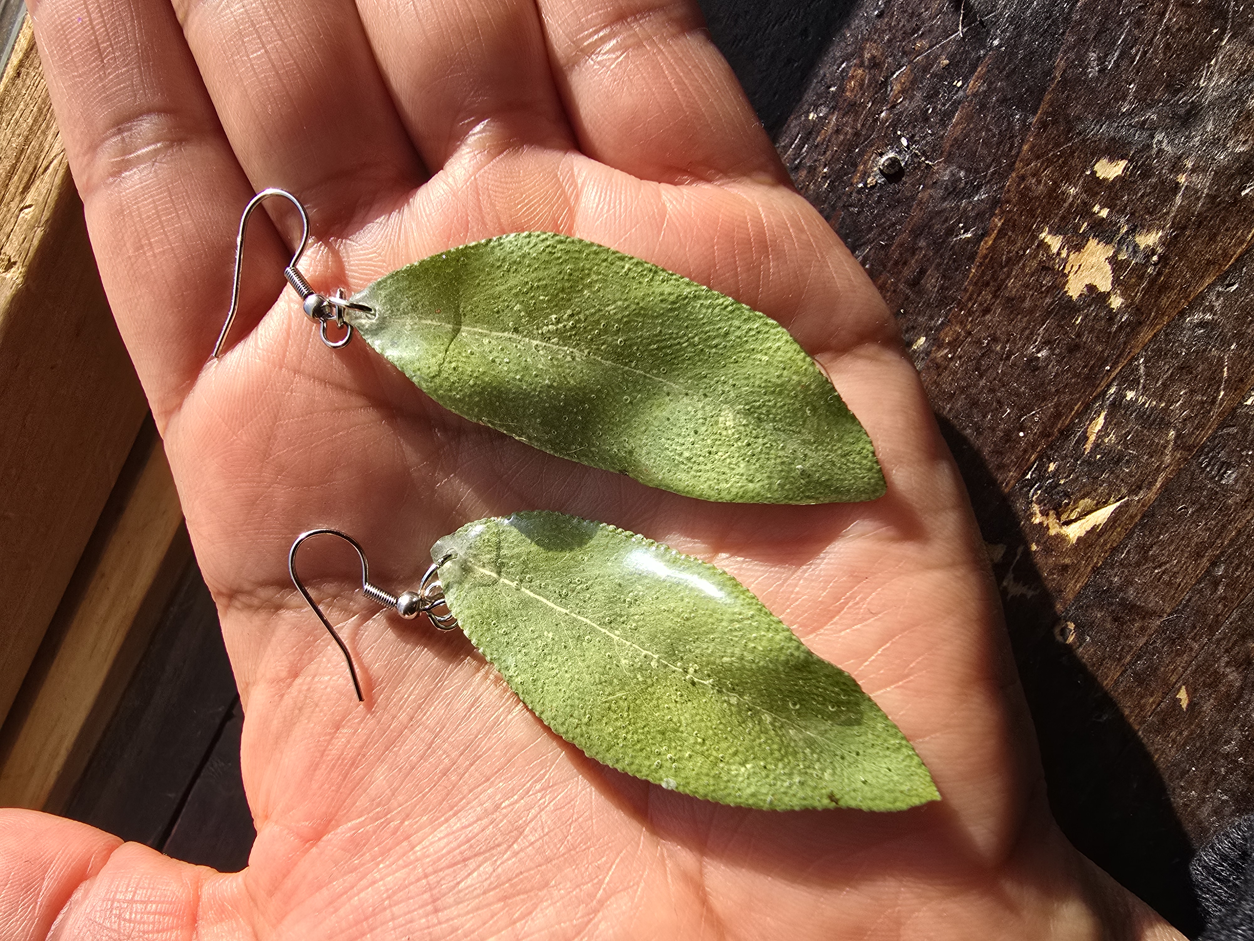 Real Sage Leaf Earrings