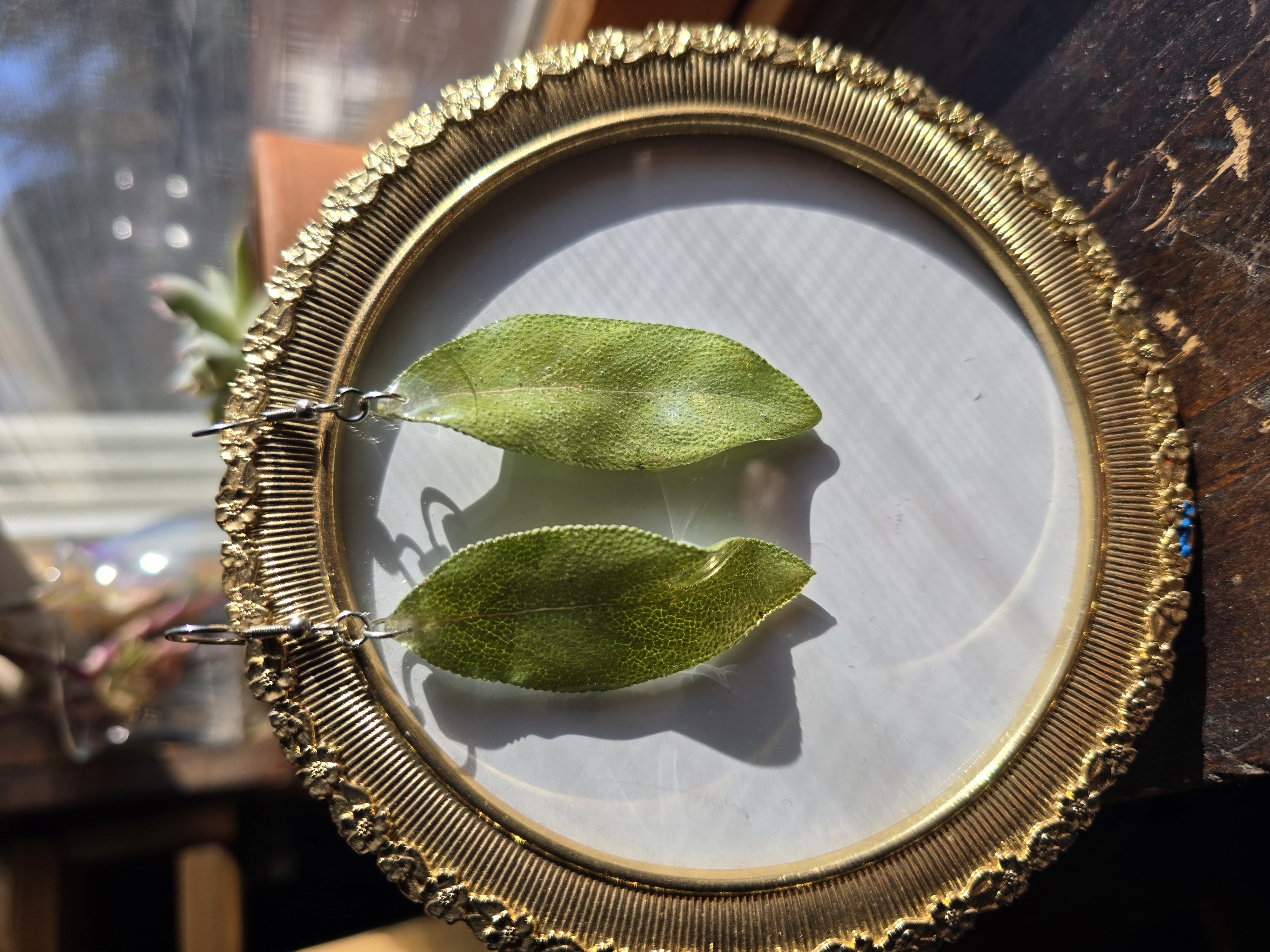 Real Sage Leaf Earrings