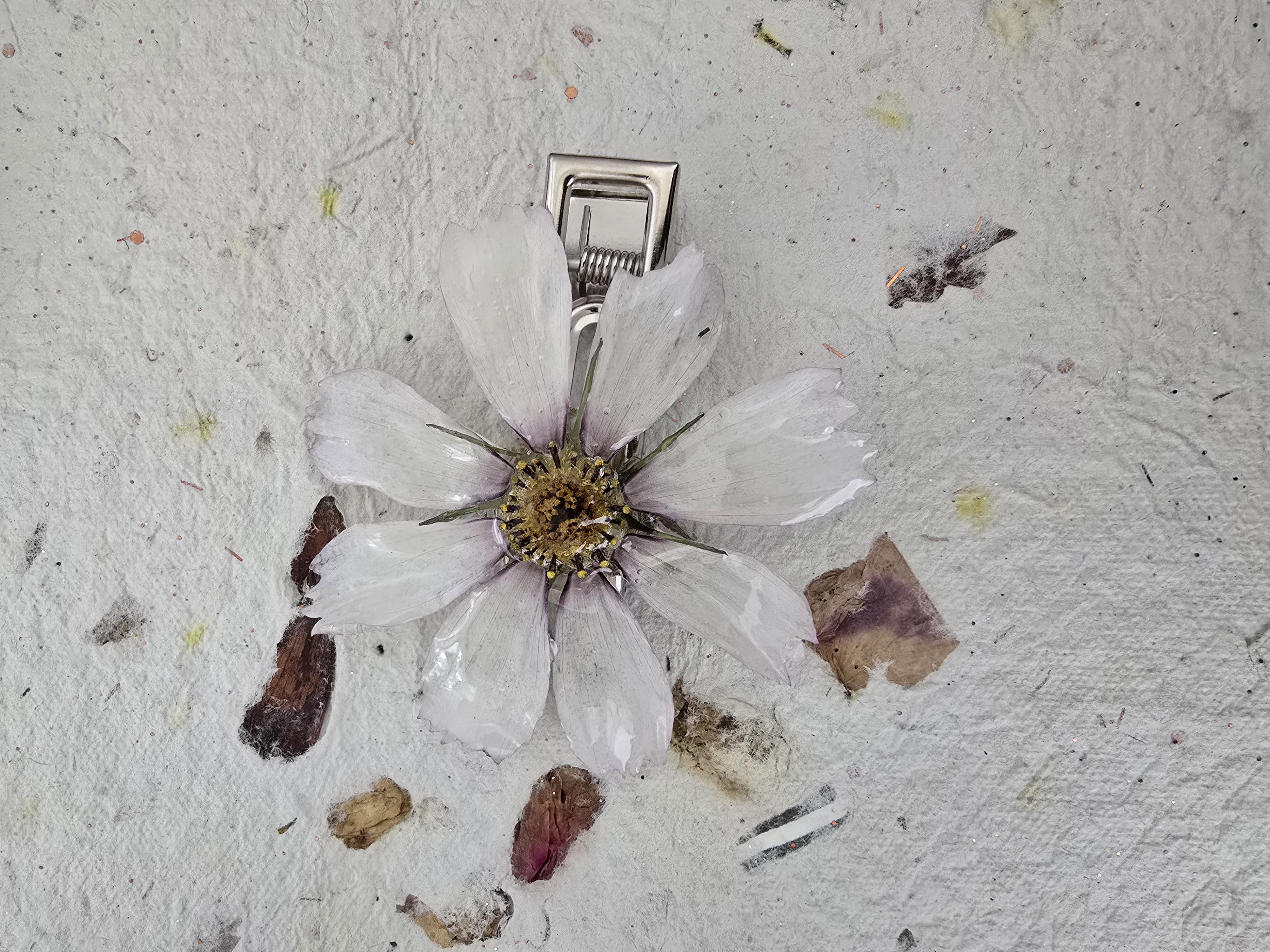 Cosmos Flower Hair Clip