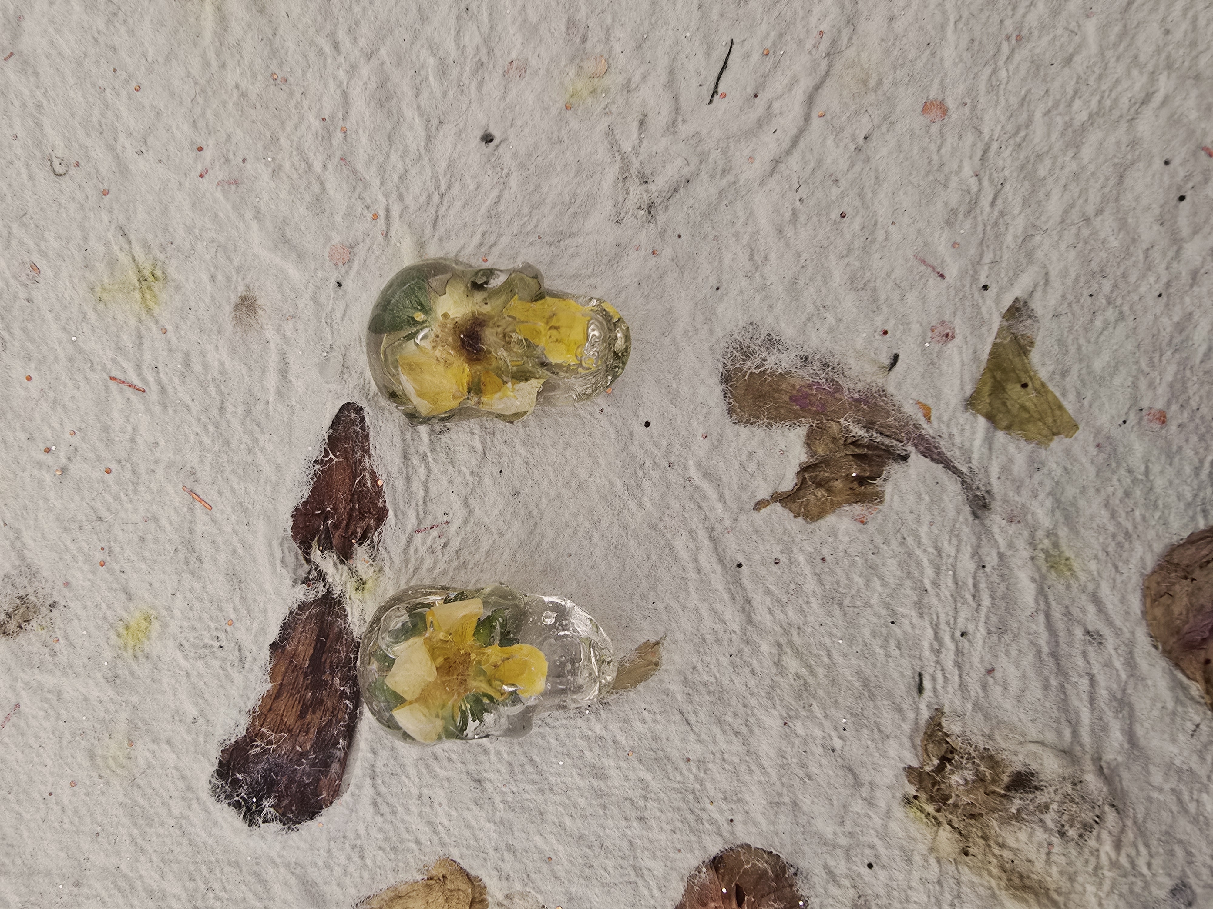 Encased Flower in Skull