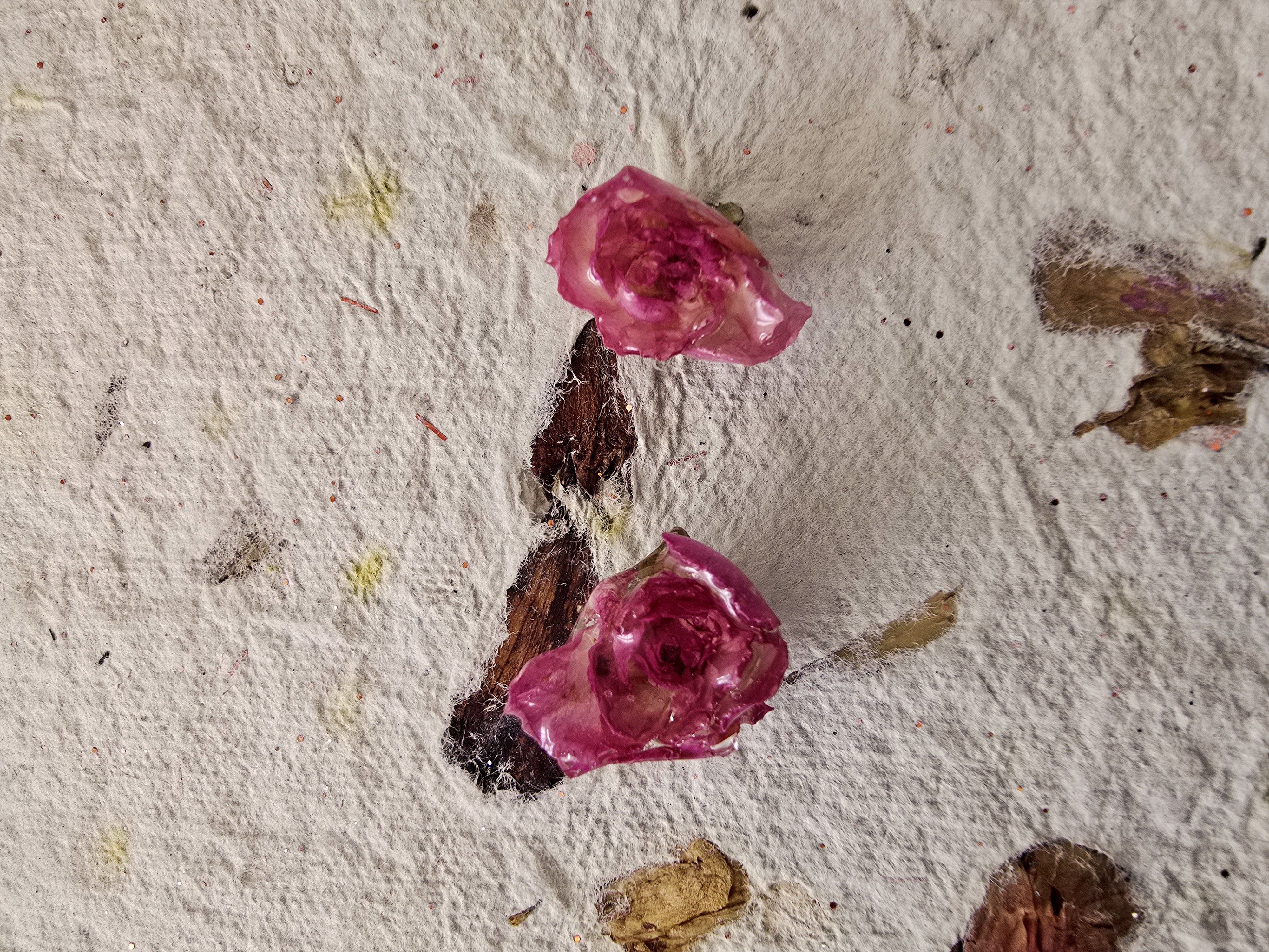 Mini Pink Rose Studs