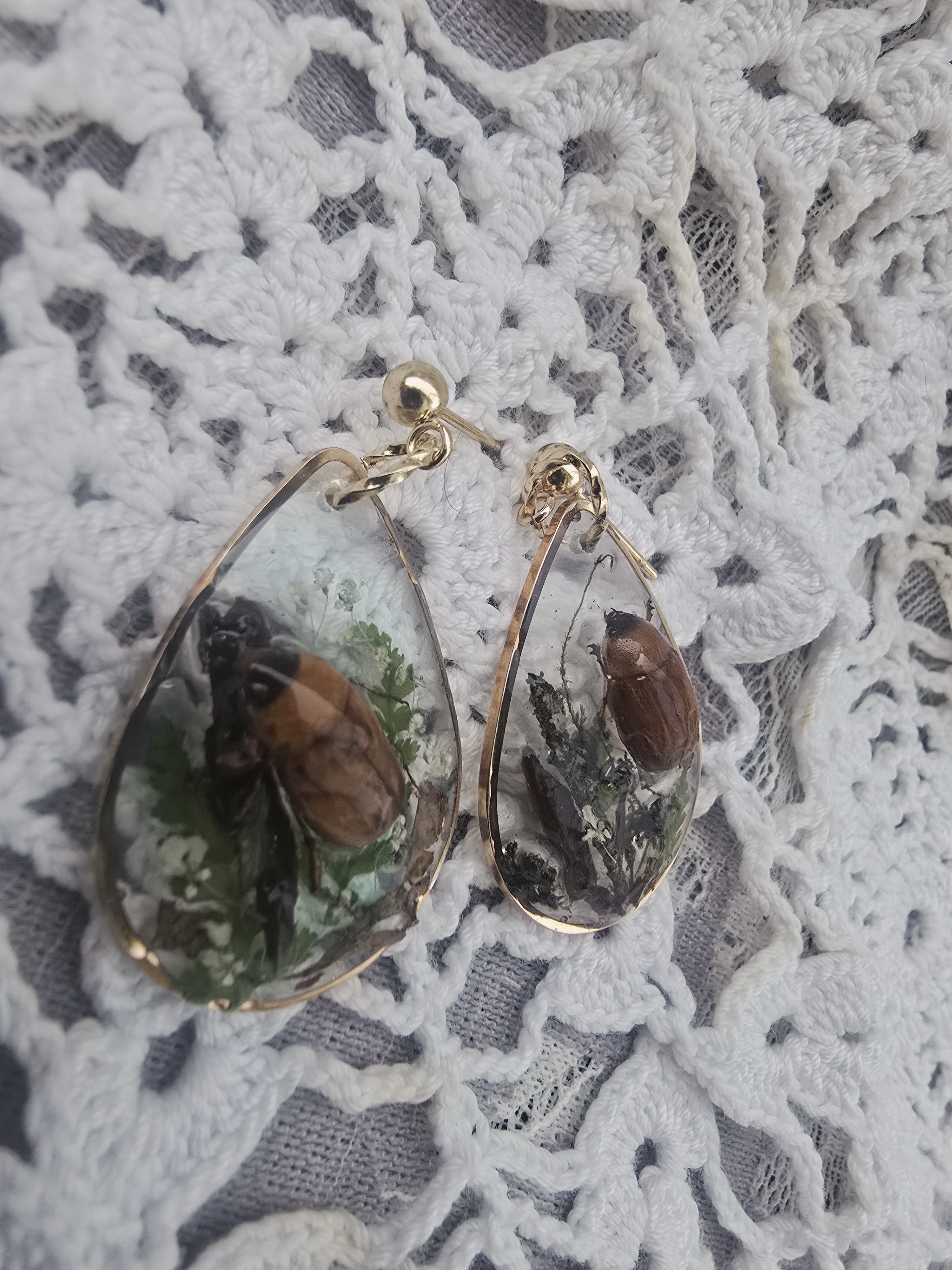 Real Beetles Encased