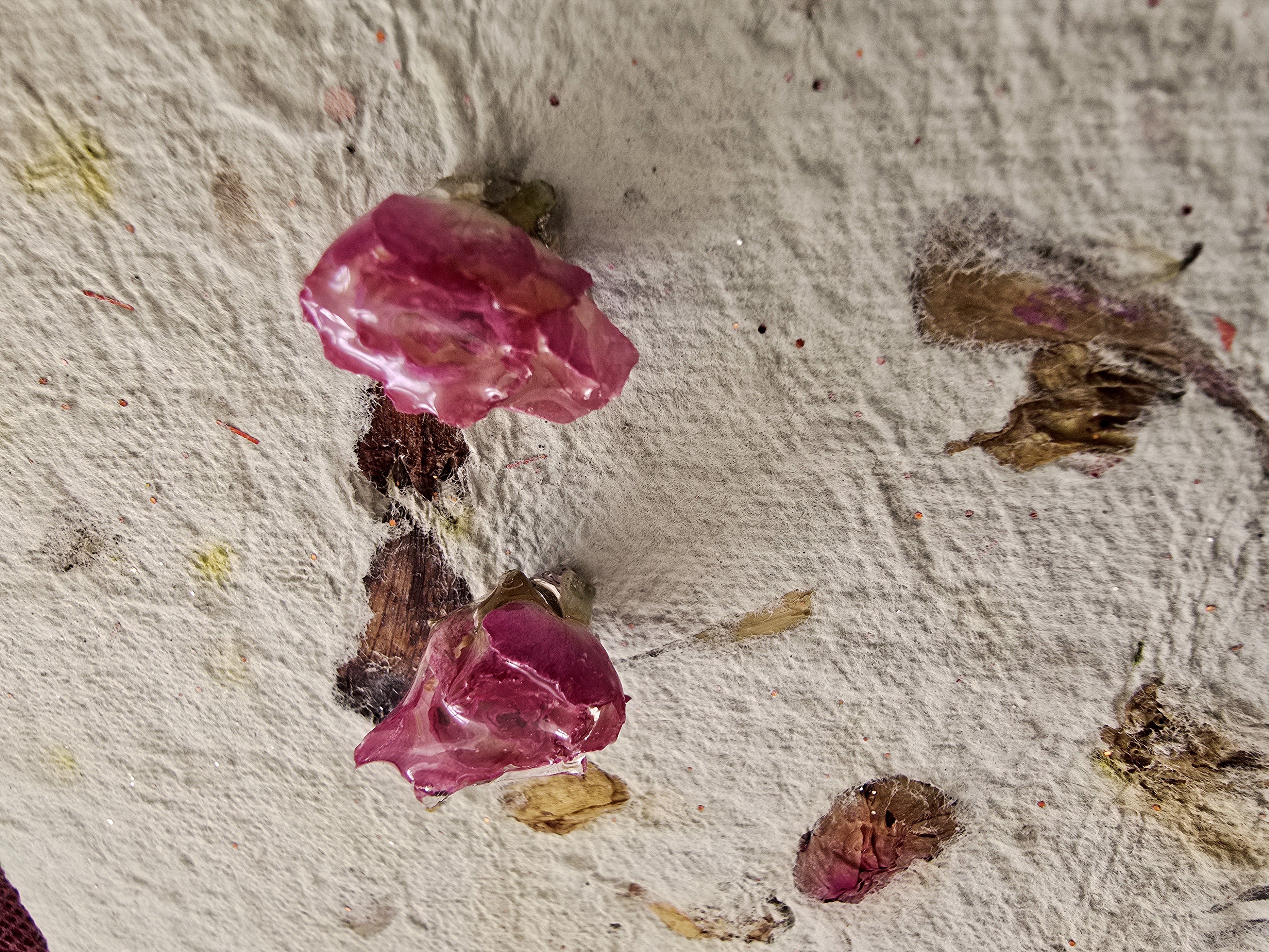 Mini Pink Rose Studs
