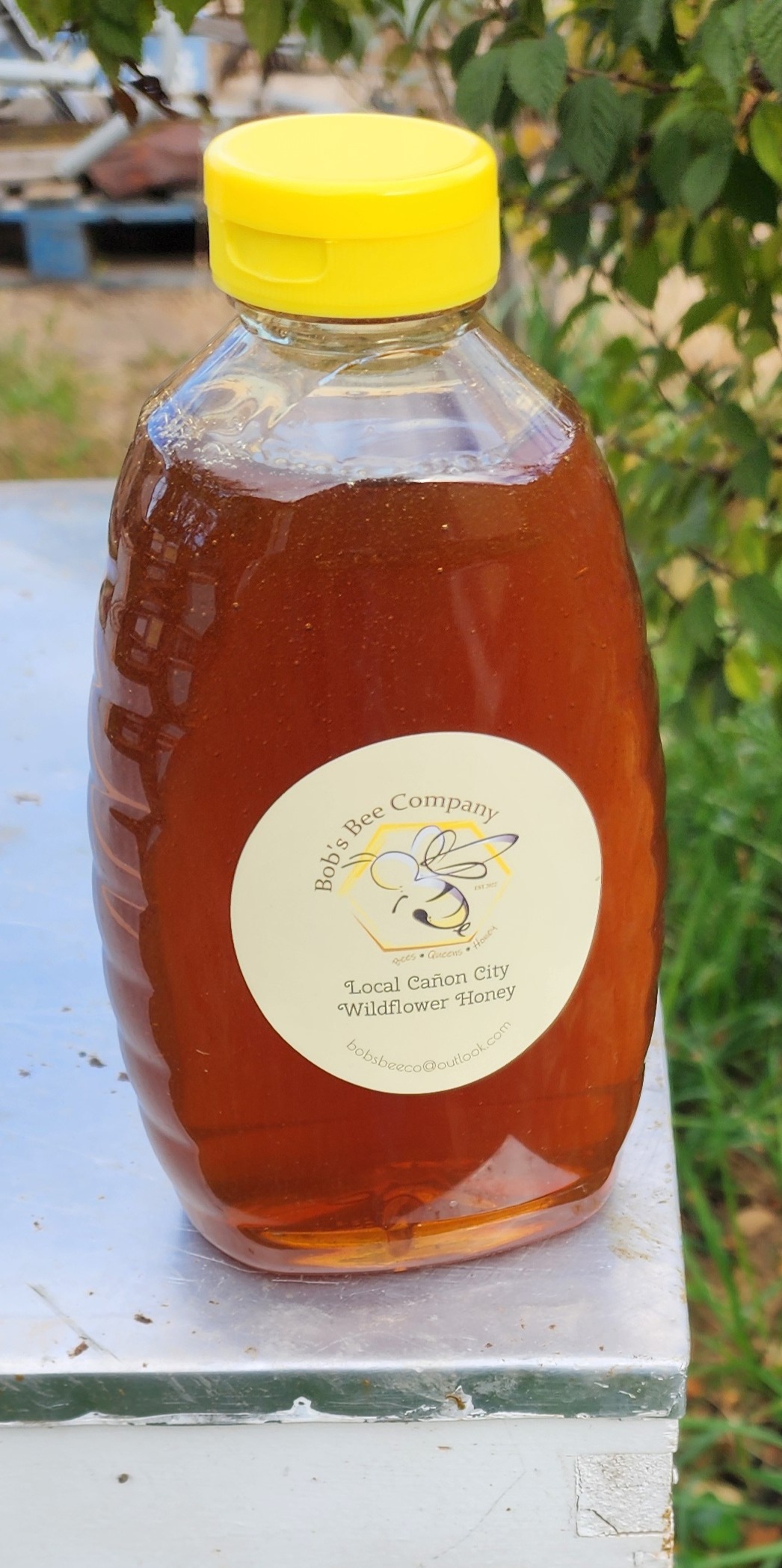  2 lb Dark Wildflower Honey