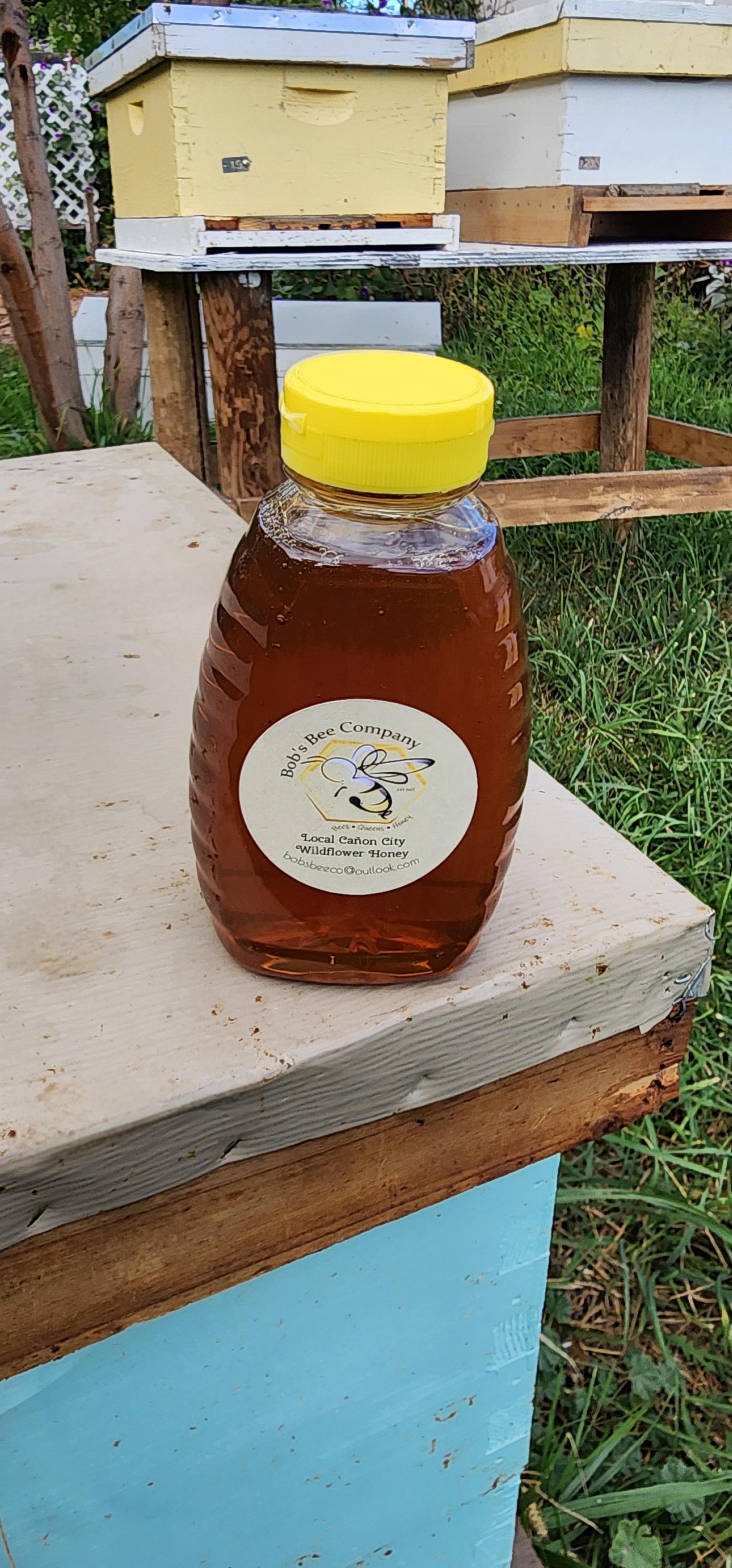 1 lb Dark Wildflower Honey Bottle