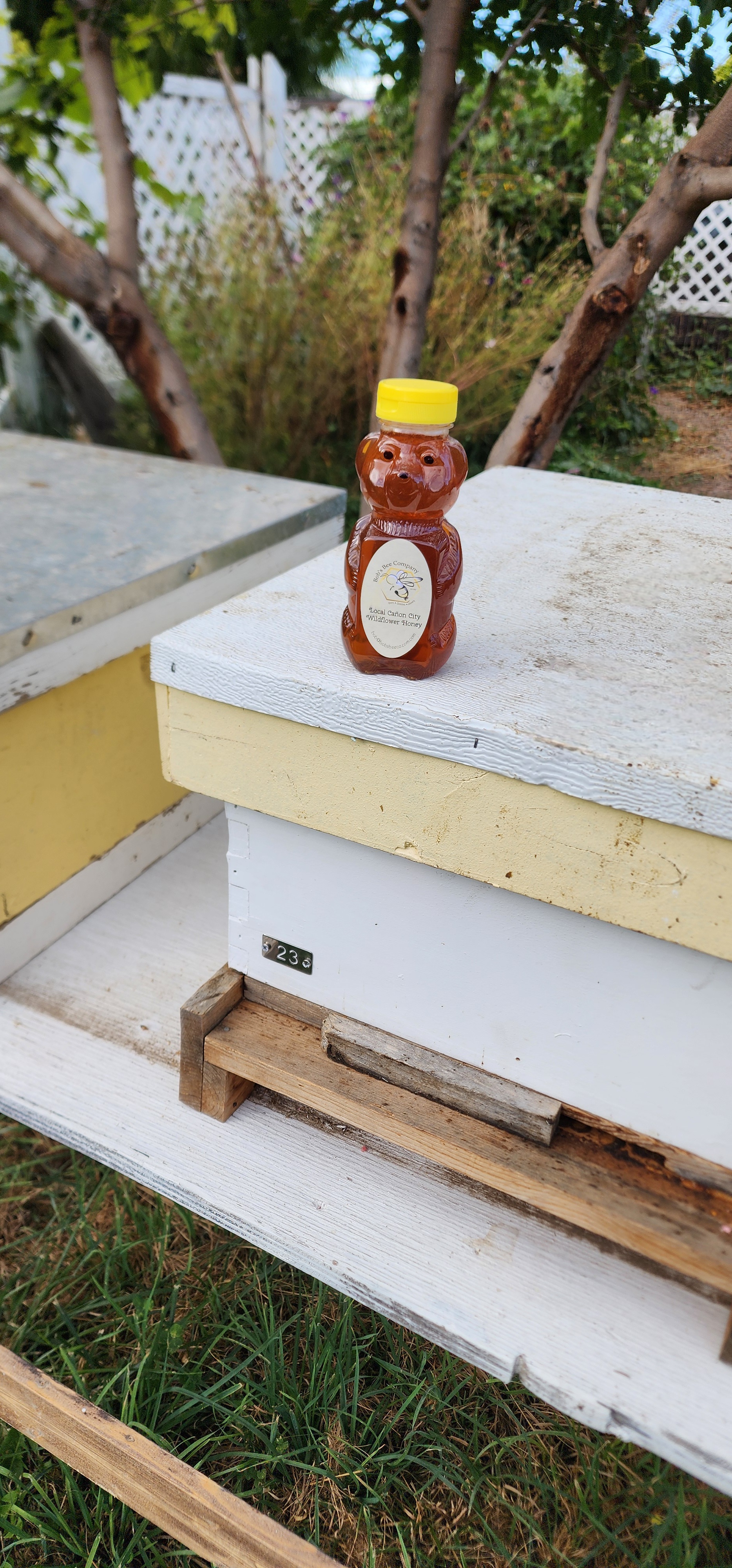 10 oz Dark Wildflower Honey Bear