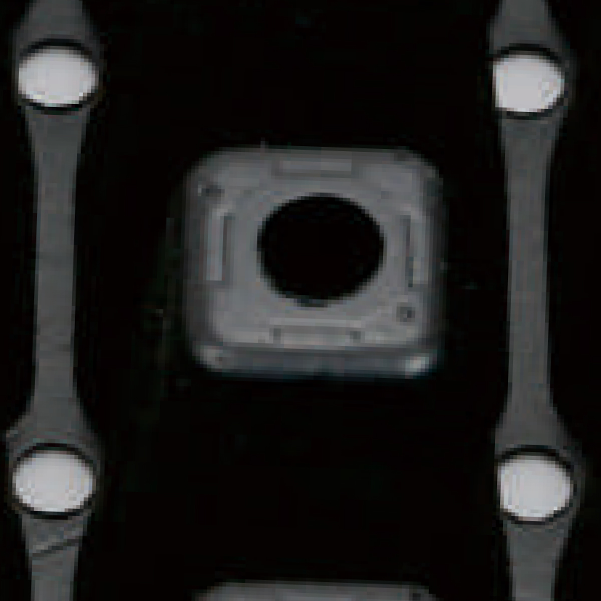 PS 162 Cell Plug Tray, 535*280mm, 19CC, 50mm Height