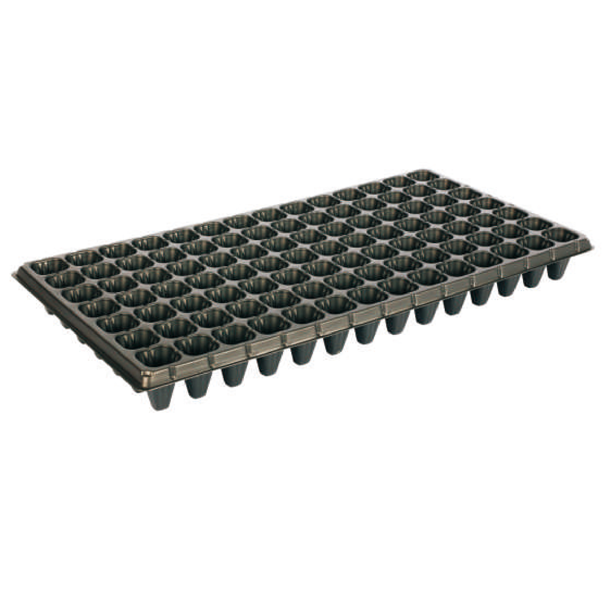 PS 98 Cell Seed Tray, 540*280mm, 24CC, 50mm Height