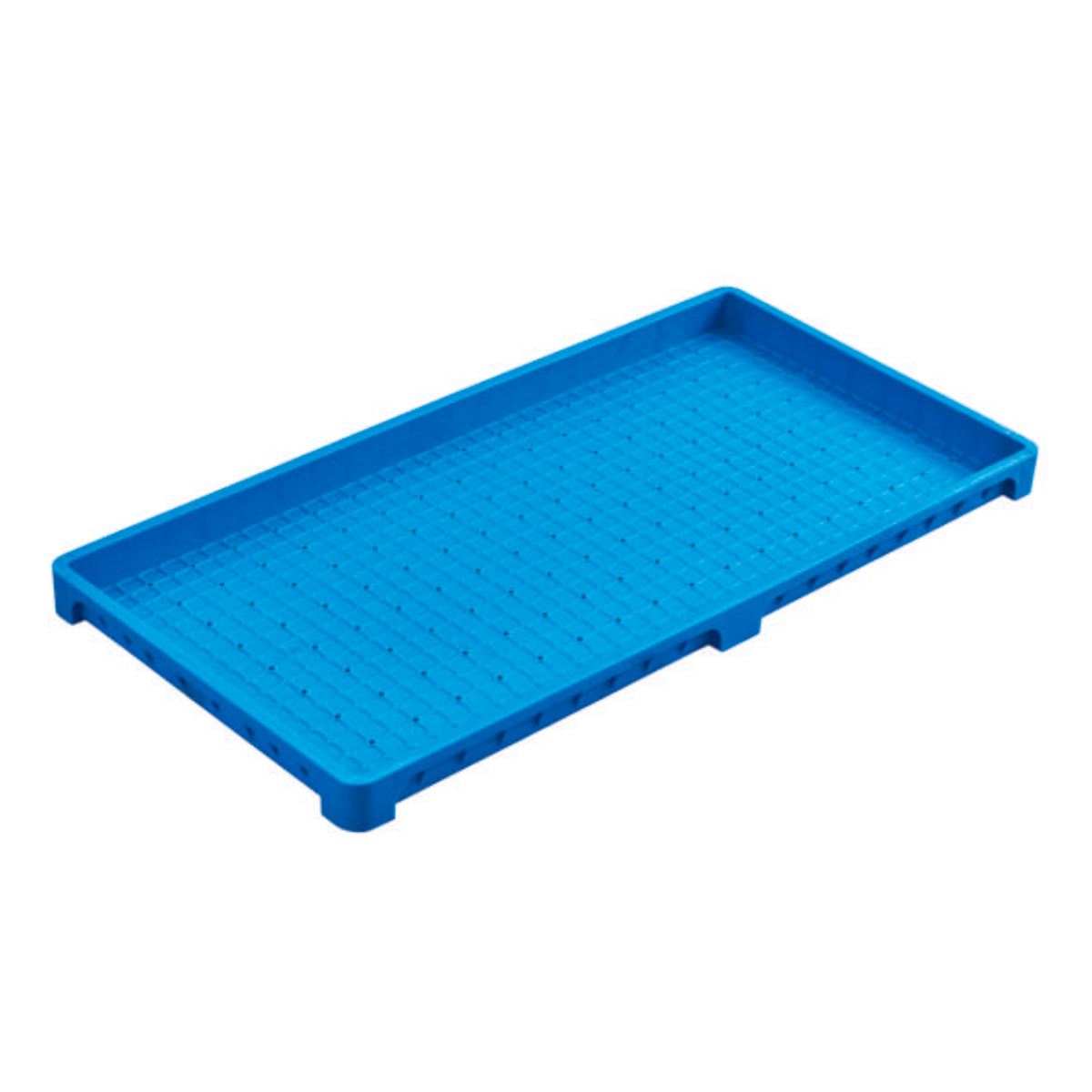 PP Foldable Flat Paddy Tray for Nursery, 600*300mm, 35mm Height