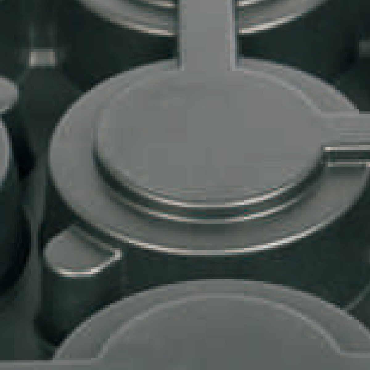 PS 15 Cell Plug Tray, 490*310mm, 40mm Height