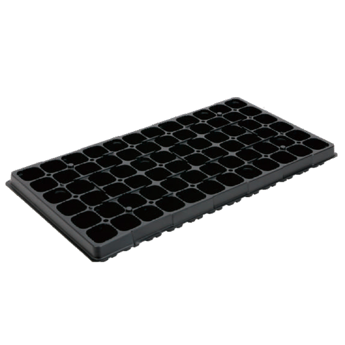 PS 72 Cell Seed Tray, 540*280mm, 46CC, 40mm Height