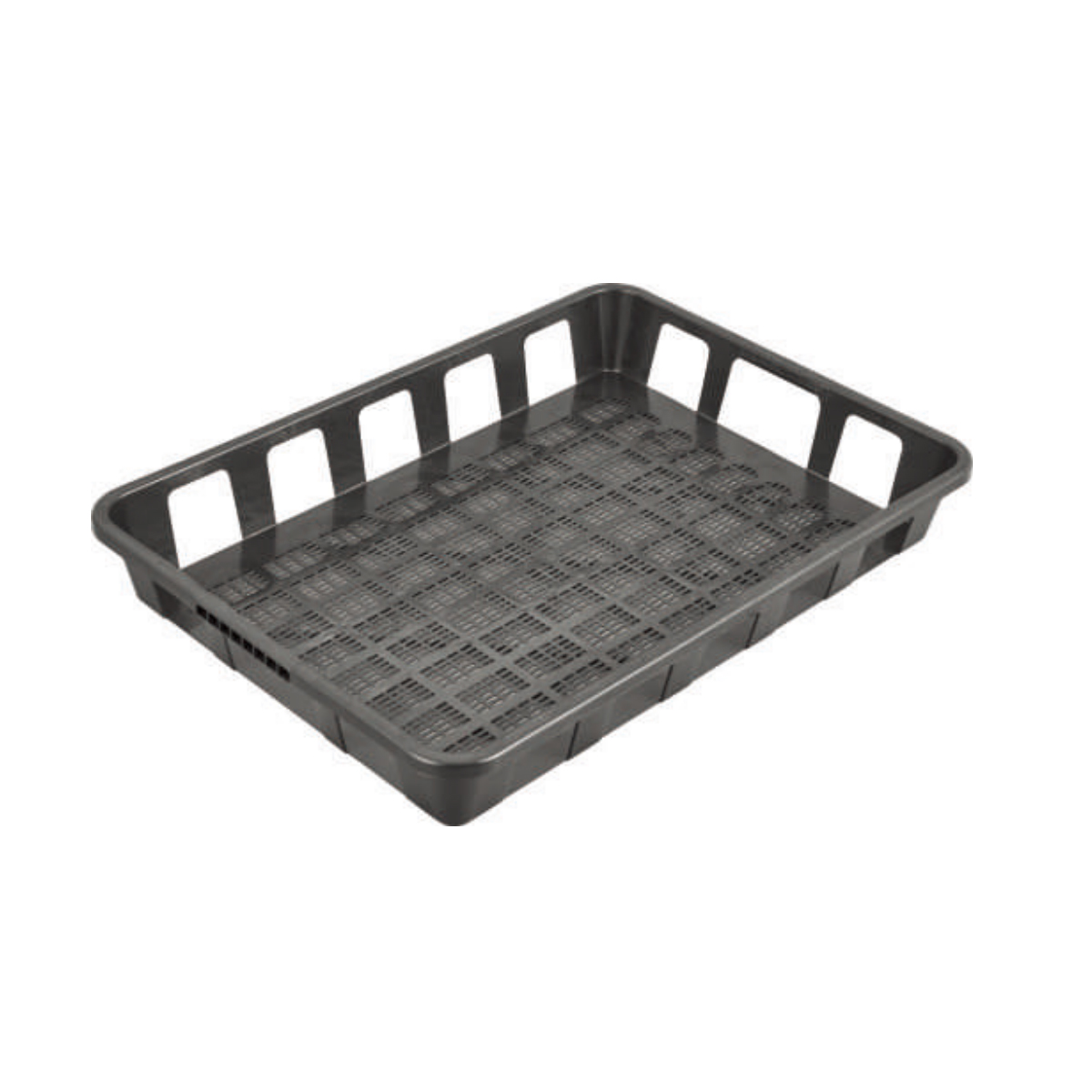 PP Plastic Seed Trays, 530*380mm, 75mm Height