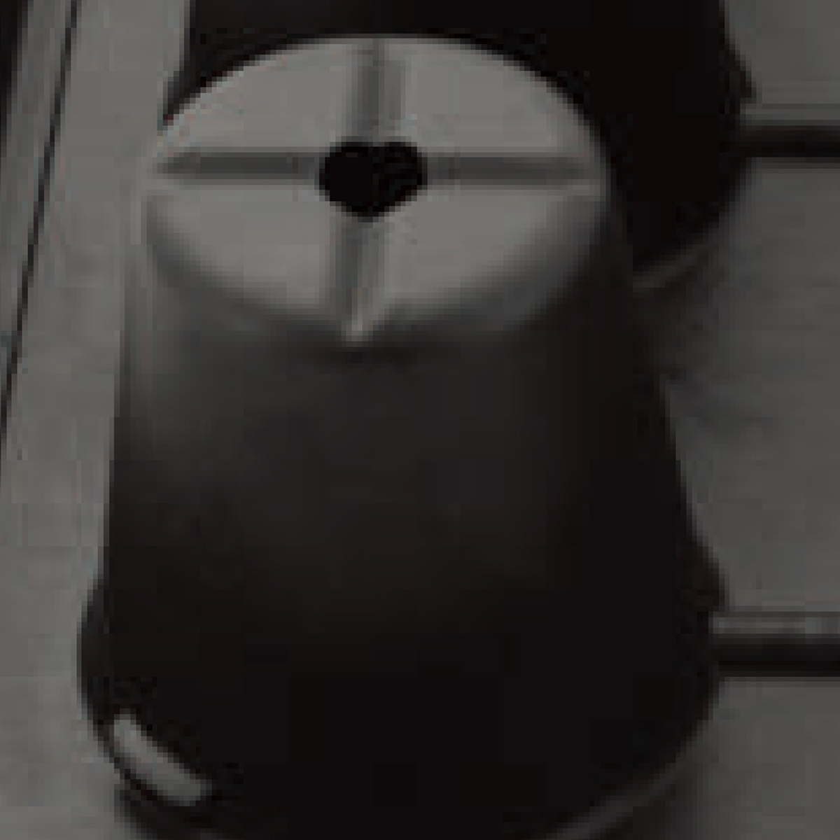 PS 24 Cell Seed Tray, 600*360mm, 172CC, 72mm Height