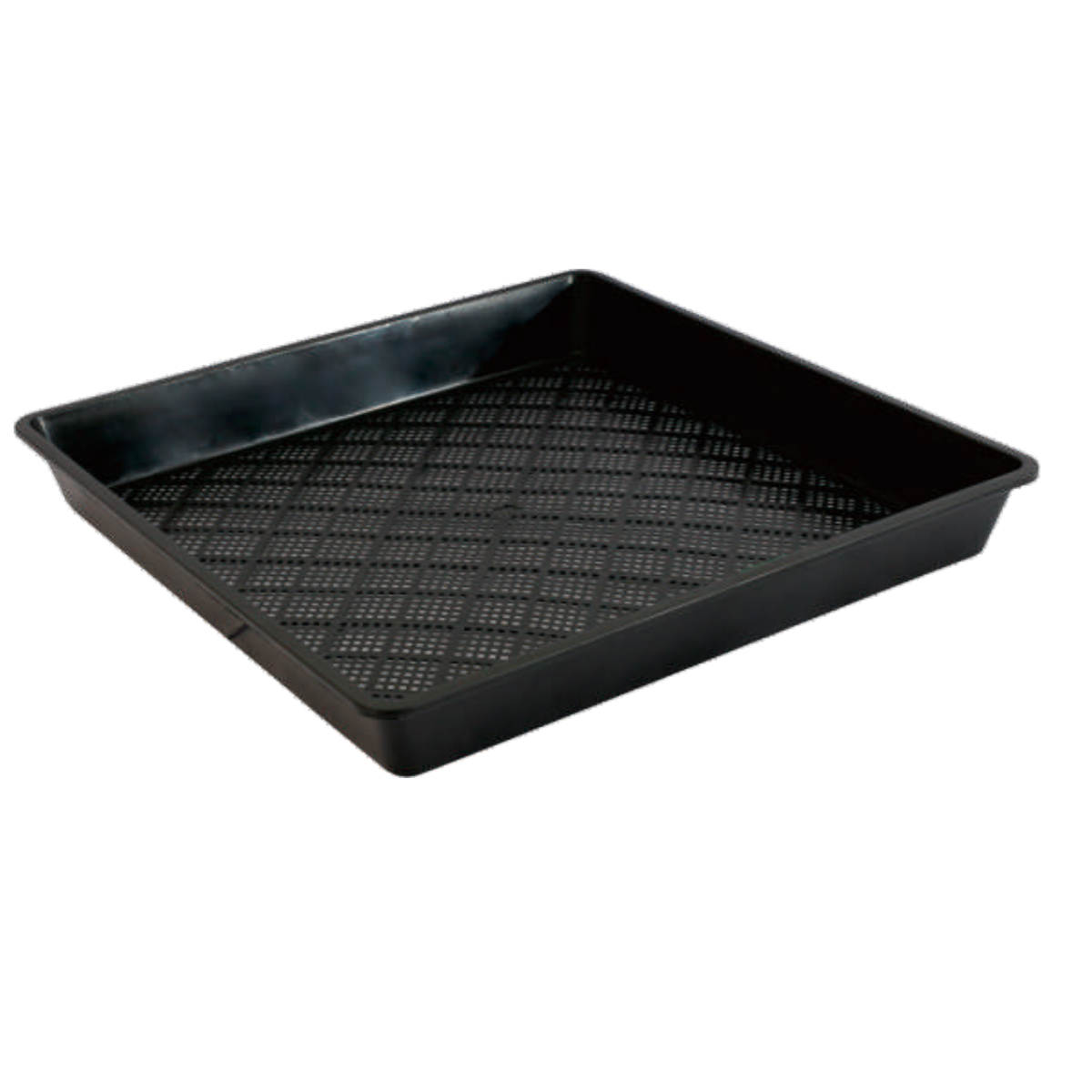 PP Square Nursery Trays Wholesale, 425*425mm, 55mm Height