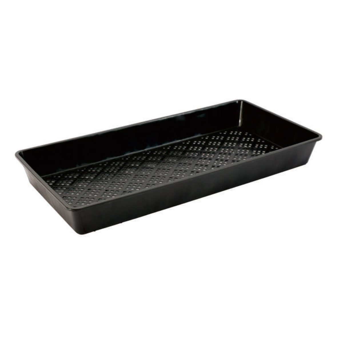 PP Tray for Seed Germination, 540*270mm, 60mm Height