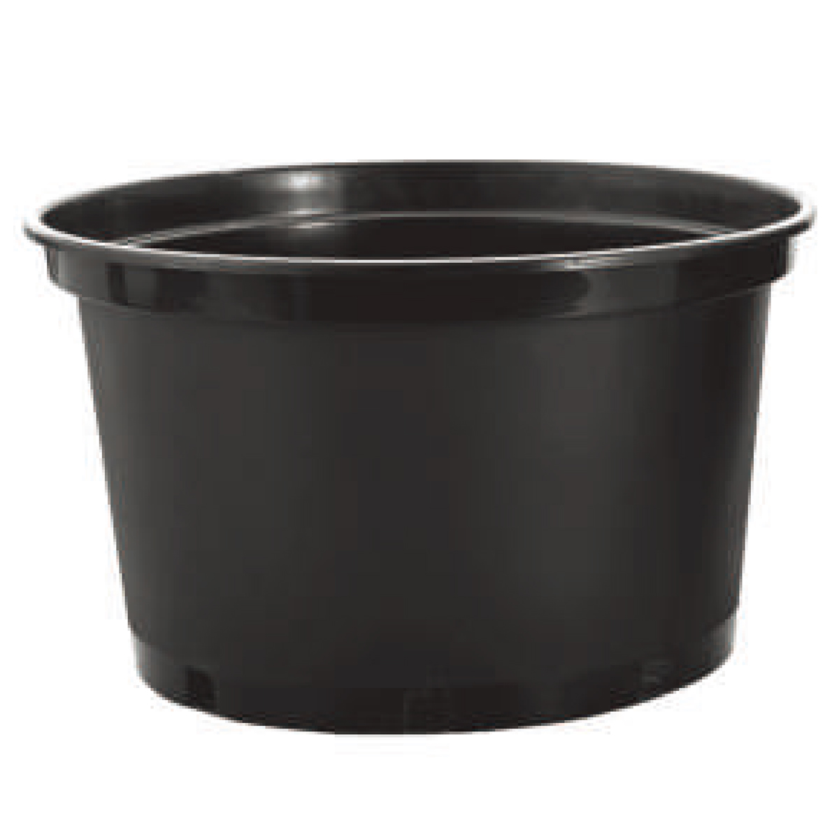 PP gallon plant container Pot