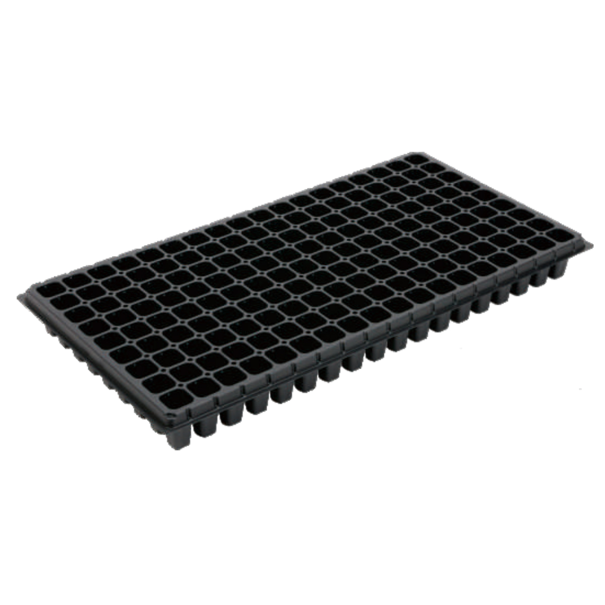 PS 162 Cell Plug Tray, 535*280mm, 19CC, 50mm Height