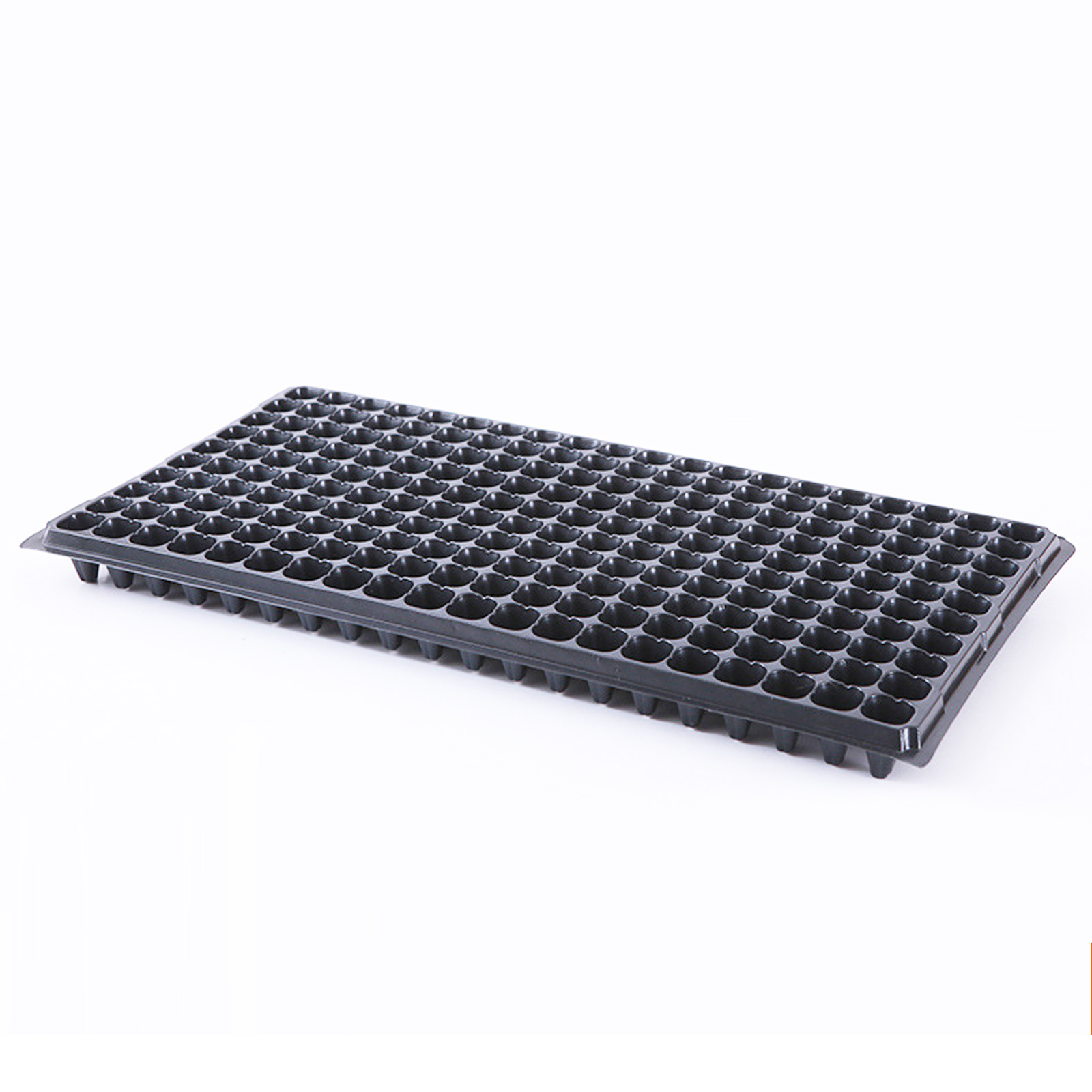 200 Cell Seed Trays, 4cm Depth