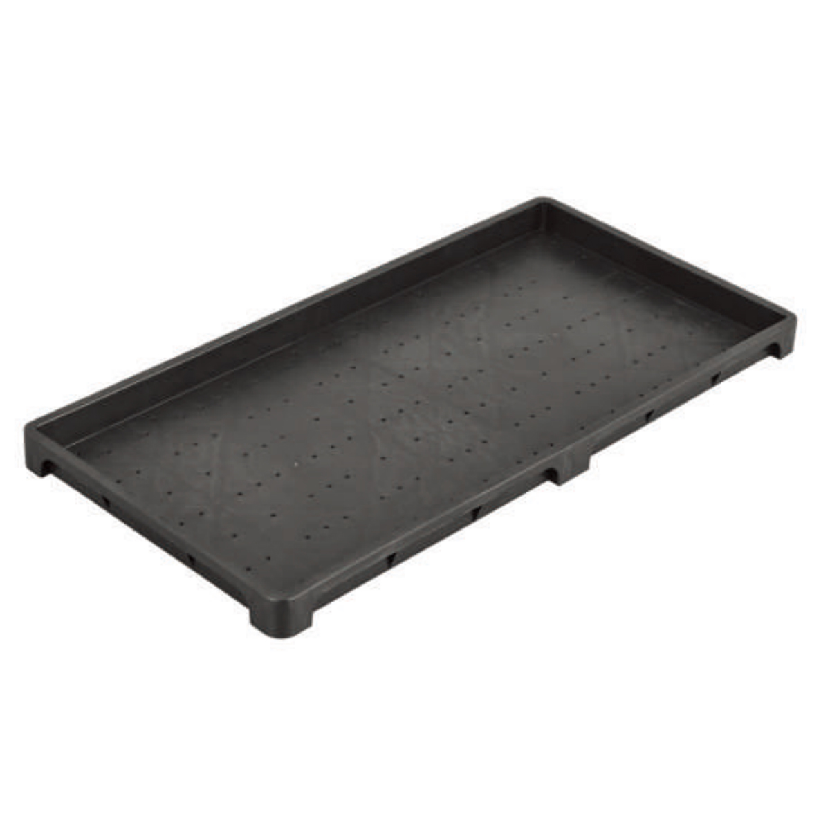 PP Paddy Nursery Tray, 600*300mm, 35mm Height