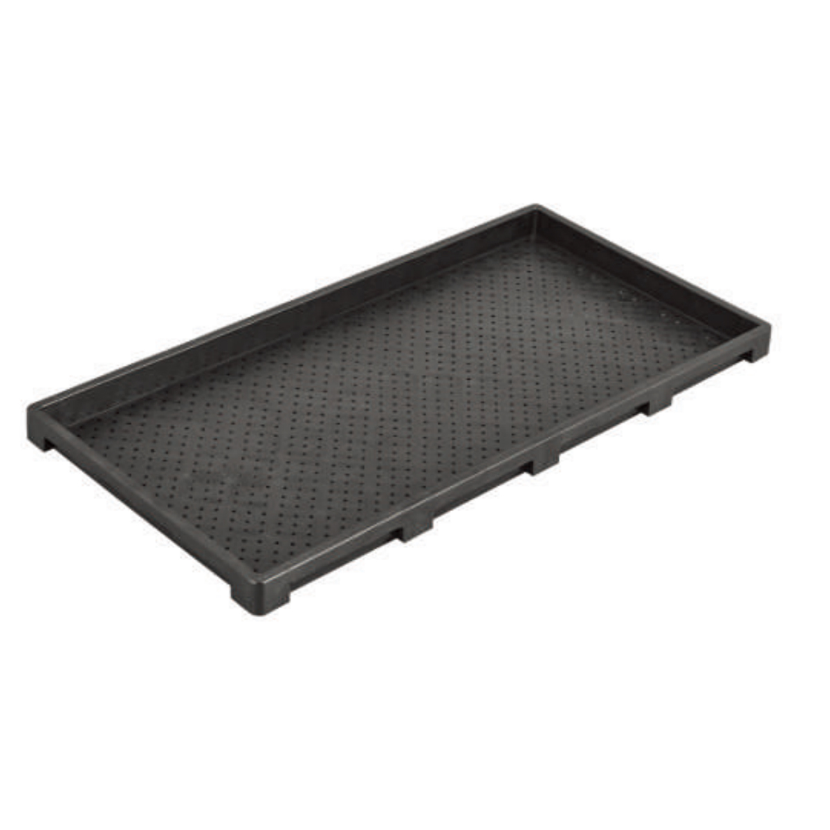 PP Flat Paddy Seed Tray, 600*300mm, 35mm Height