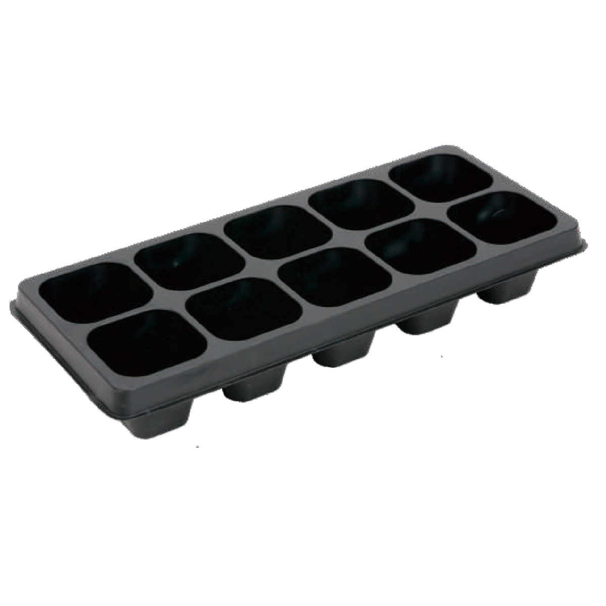 PS 10 Cell Plug Tray, 250*105mm, 45CC, 40mm Height