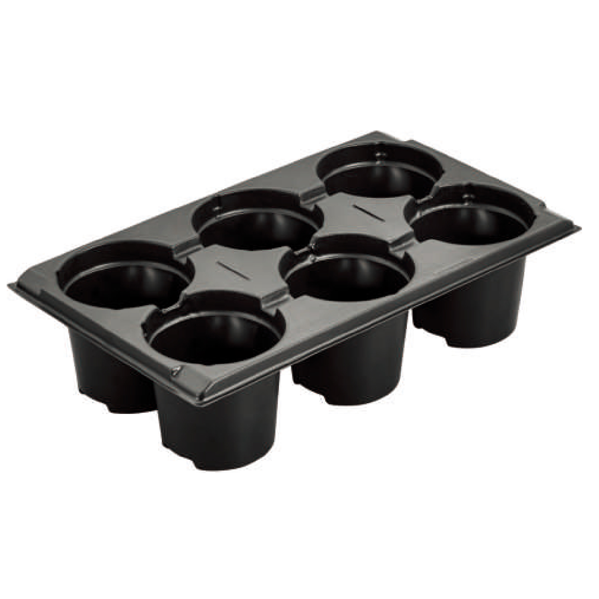 PS 6 Cell Seed Trays, 300*170mm, 78mm Height