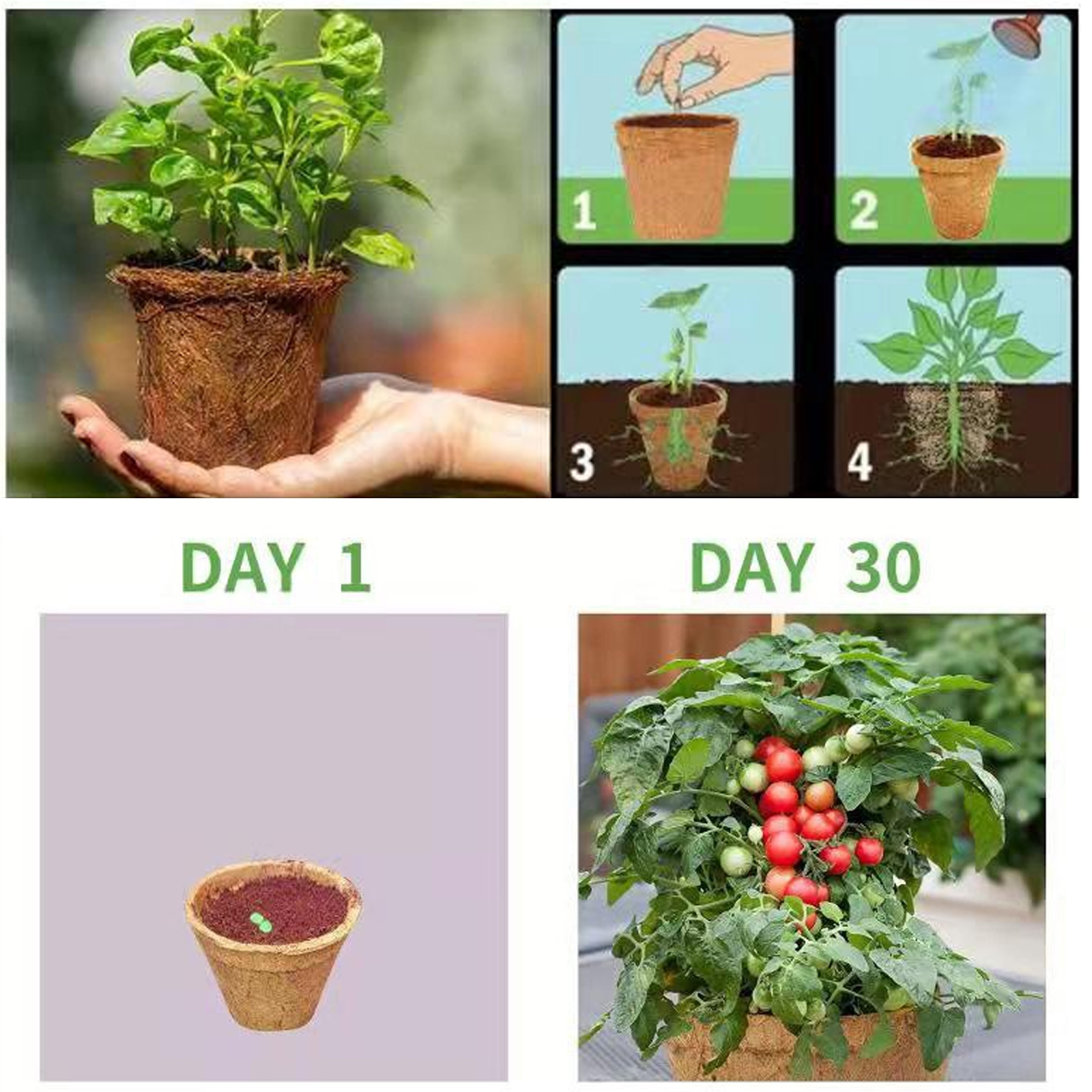 100% Biodegradable Coco Coir Seedling Pots