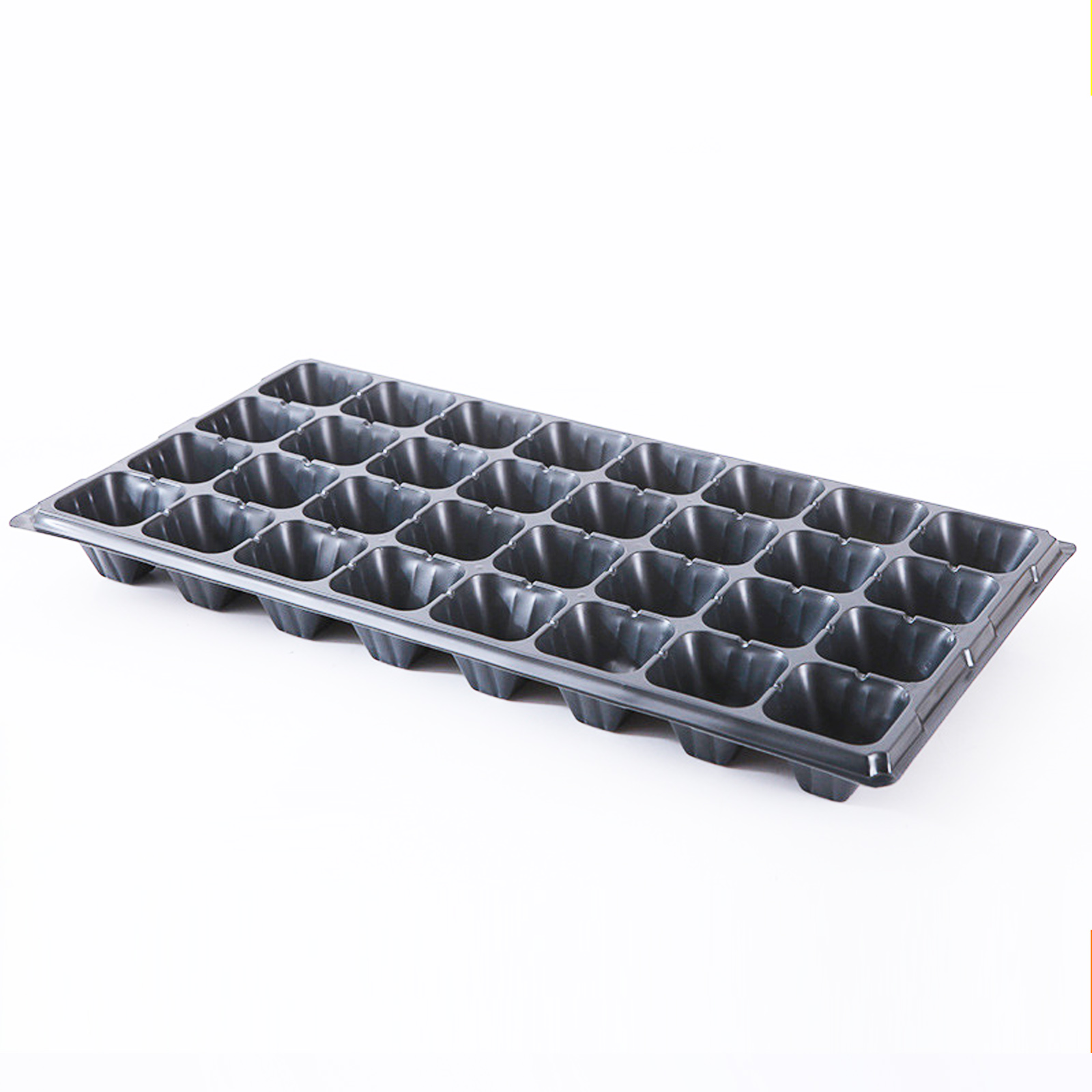 50 Cell Seed Tray, 4.8cm Depth