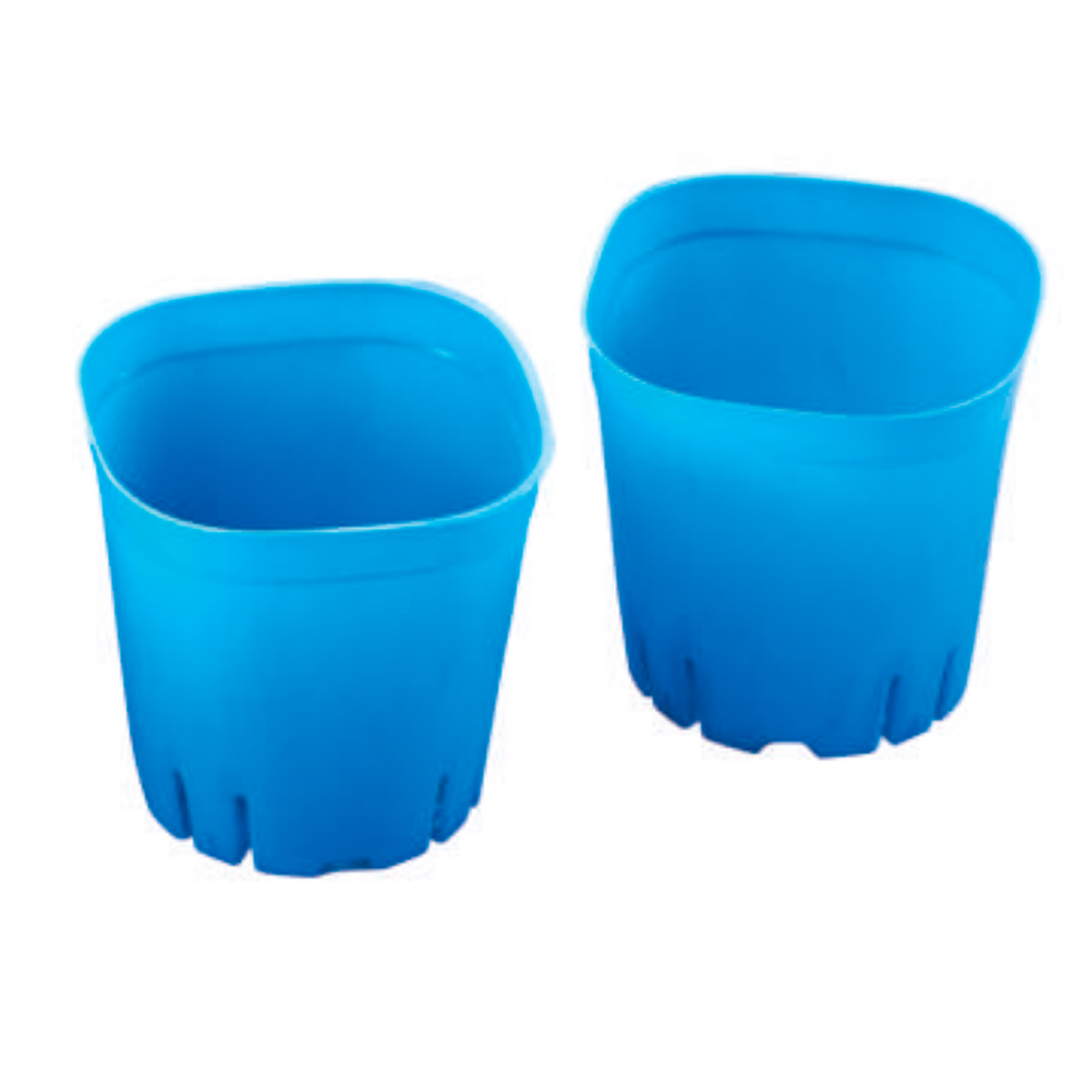 PP Bulk Succulent Pots