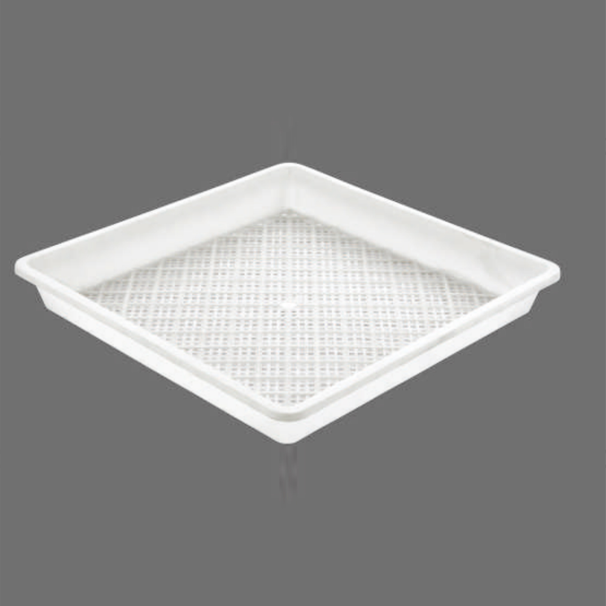 PP Square Nursery Plastic Tray, 430*430mm, 50mm Height