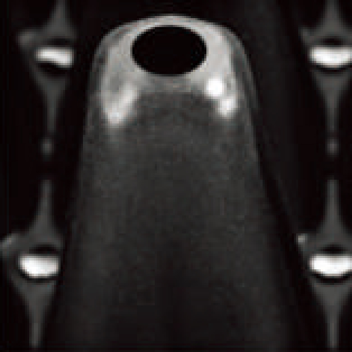 PS 200 Cell Seedling Trays, 540*280mm, 12CC, 42mm Height