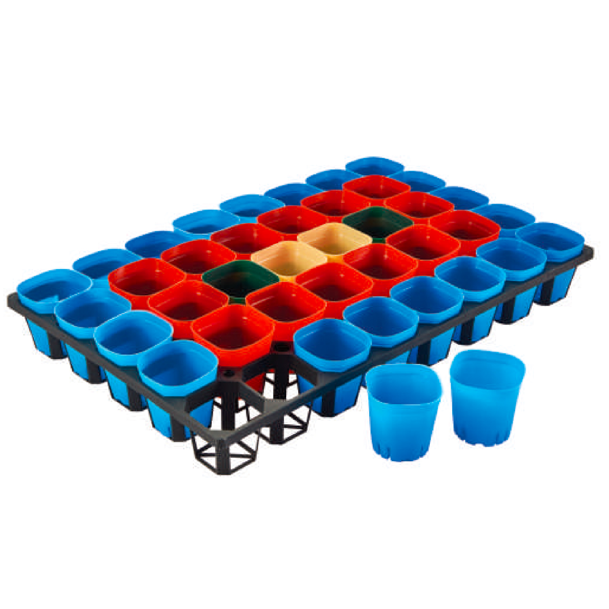 PP Succulent Propagation Tray