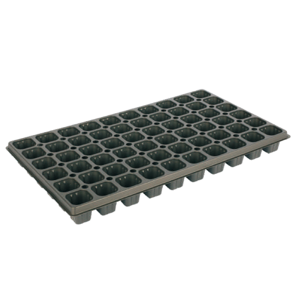 PS 60 Cell Seed Trays, 500*290mm, 48CC, 45mm Height
