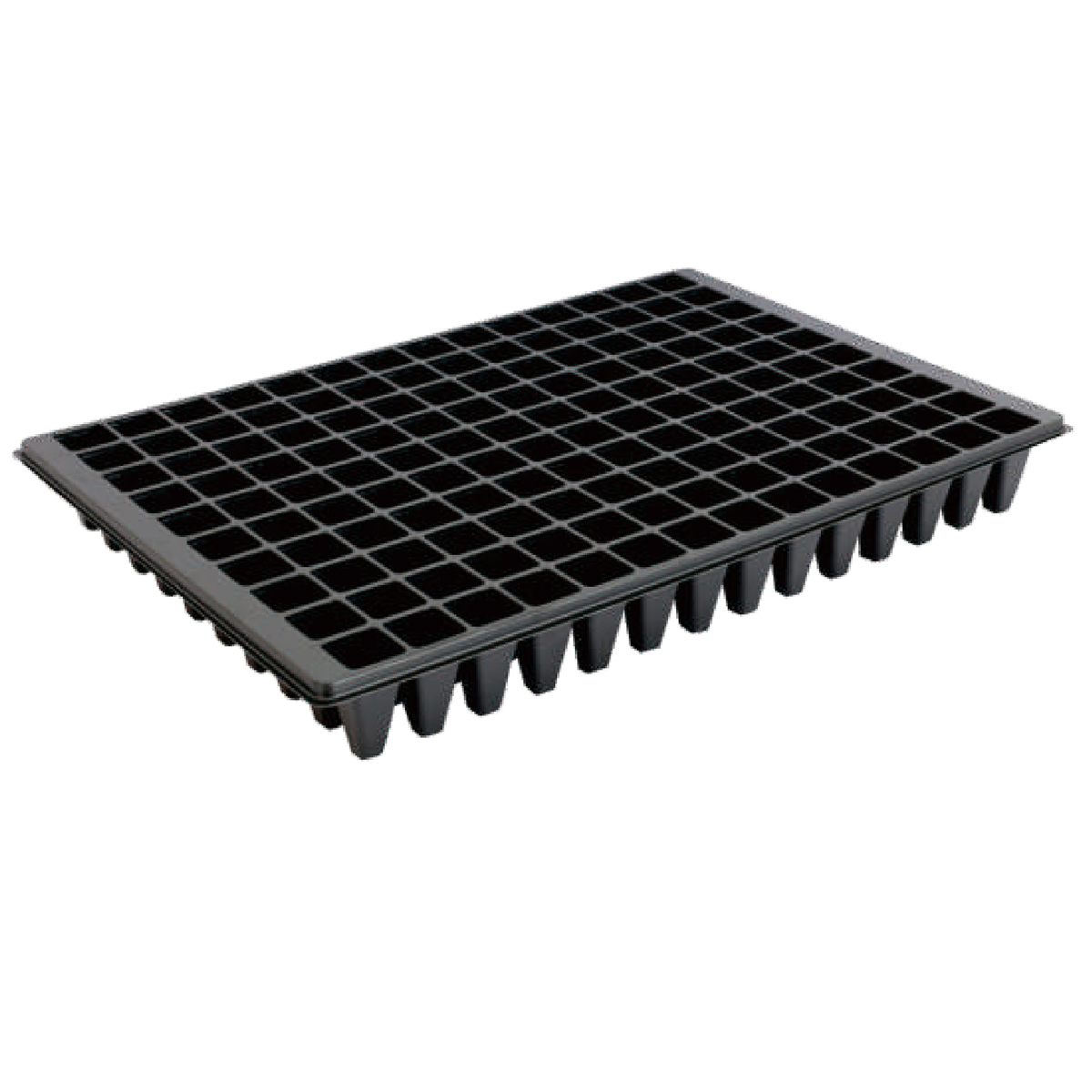 PS 140 Cell Seedling Tray, 534*364mm, 31CC, 60mm Height