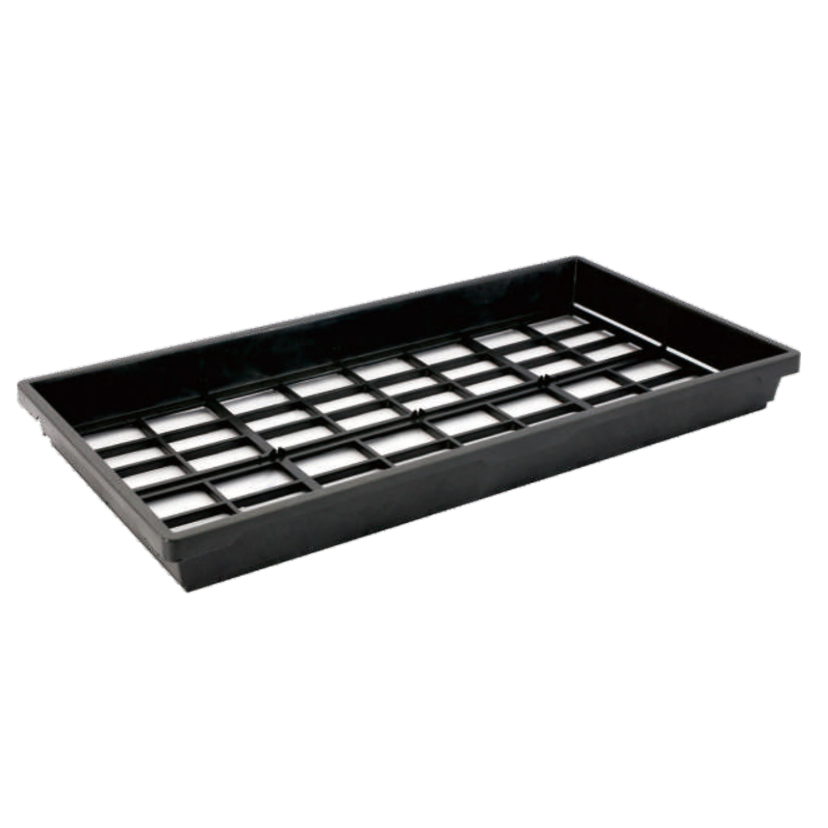 PP Seedling Trays Wholesale, 620*320mm, 60mm Height