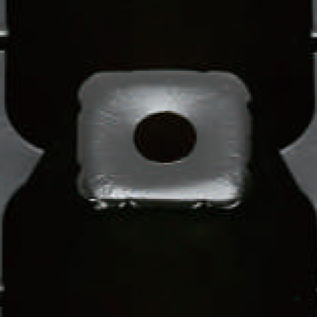 PS 50 Cell Seedling Tray, 515*260mm, 45CC, 40mm Height